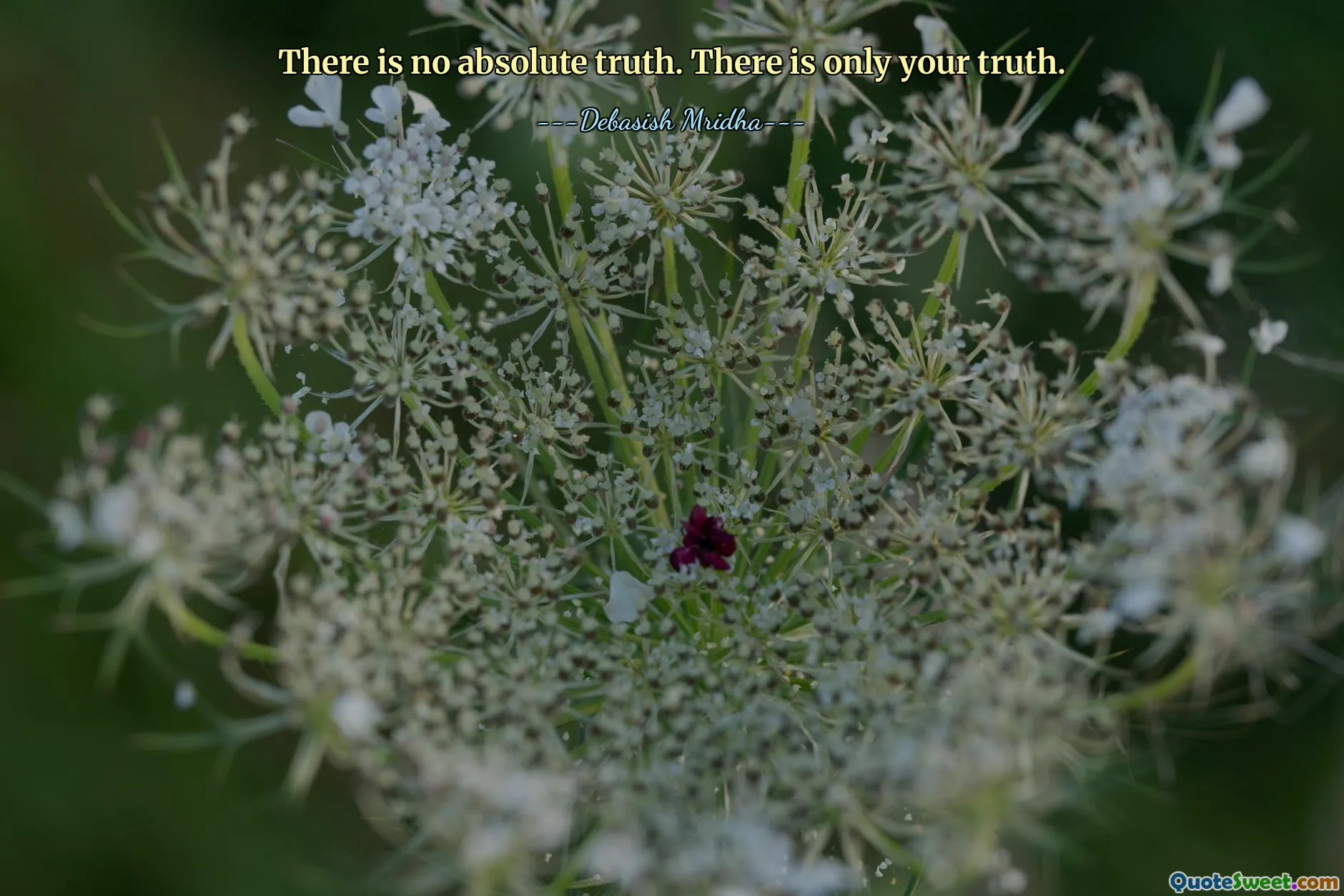 There is no absolute truth. There is only your truth.