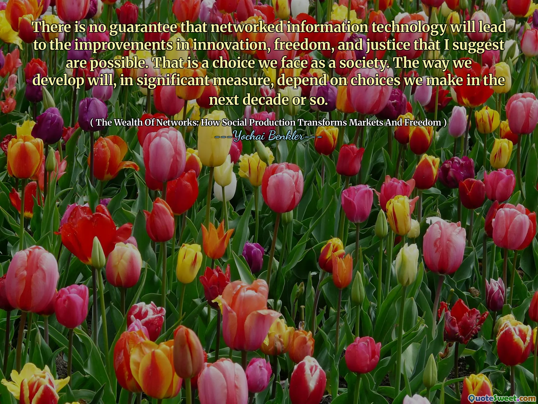There is no guarantee that networked information technology will lead to the improvements in innovation, freedom, and justice that I suggest are possible. That is a choice we face as a society. The way we develop will, in significant measure, depend on choices we make in the next decade or so.