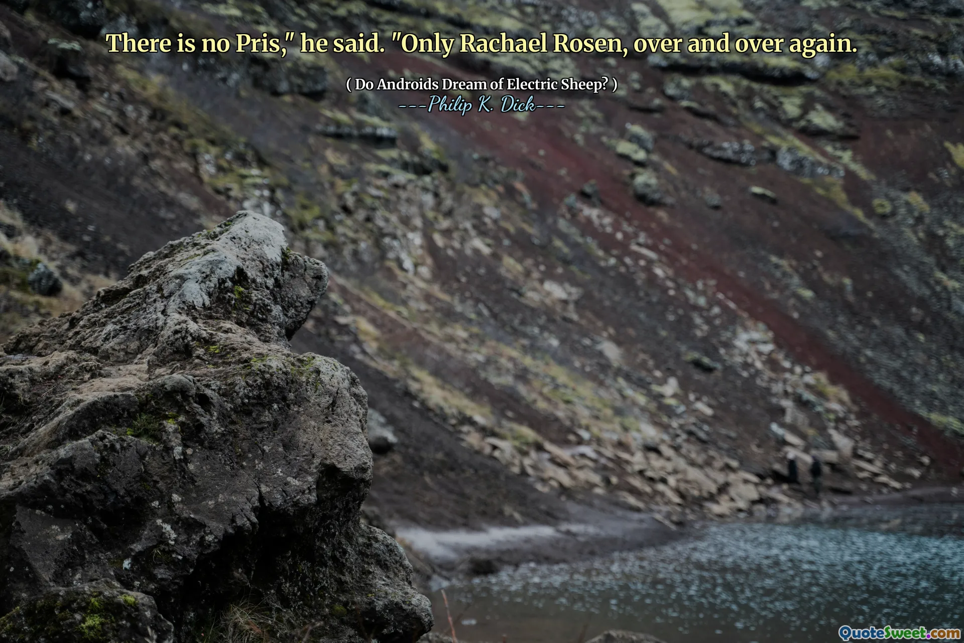 Там нет Приса, - сказал он. - только Рэйчел Розен снова и снова.