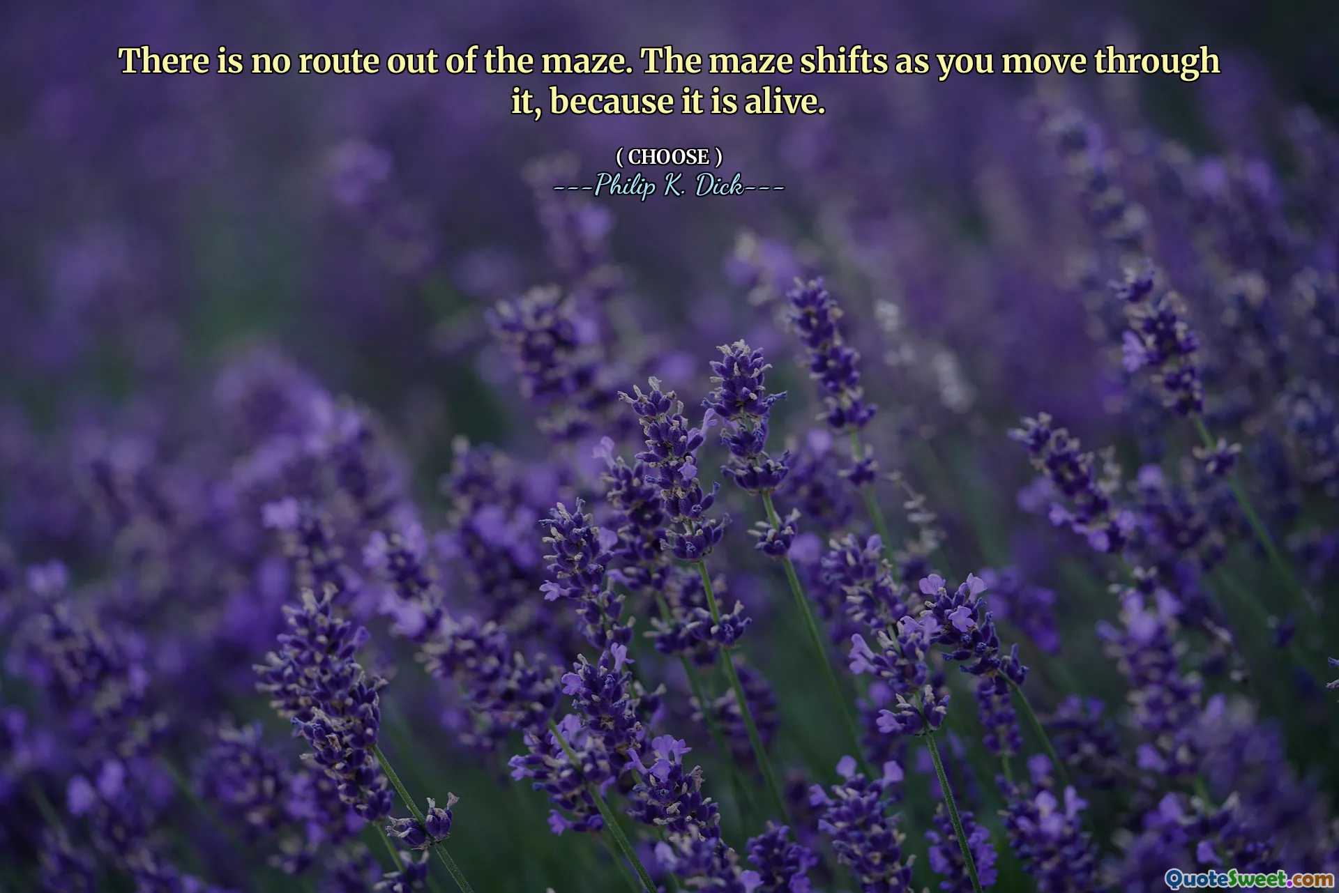 There is no route out of the maze. The maze shifts as you move through it, because it is alive.