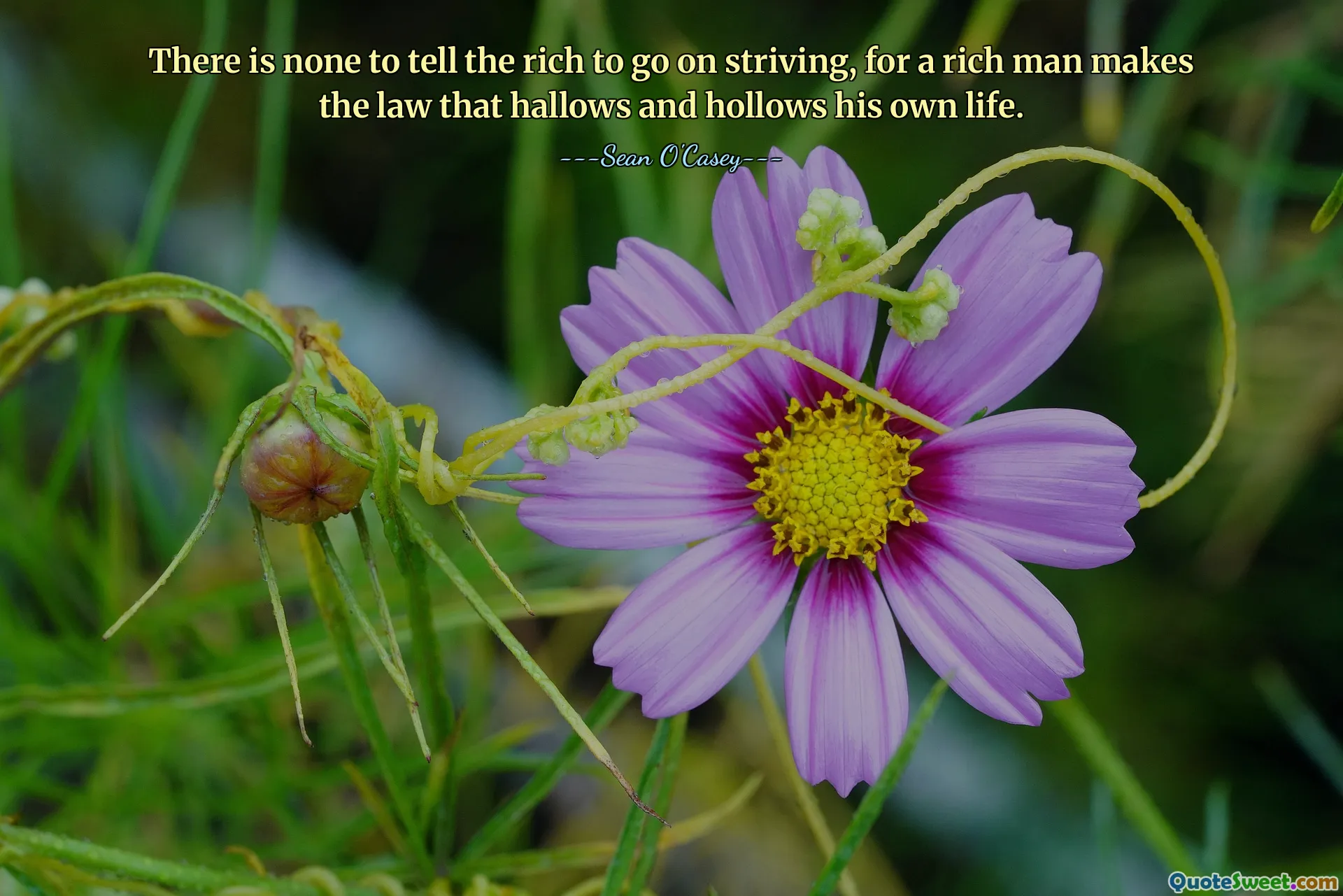 Нет никого, кто мог бы приказать богатым продолжать борьбу, поскольку богатый человек создает закон, который освящает и опустошает его собственную жизнь.