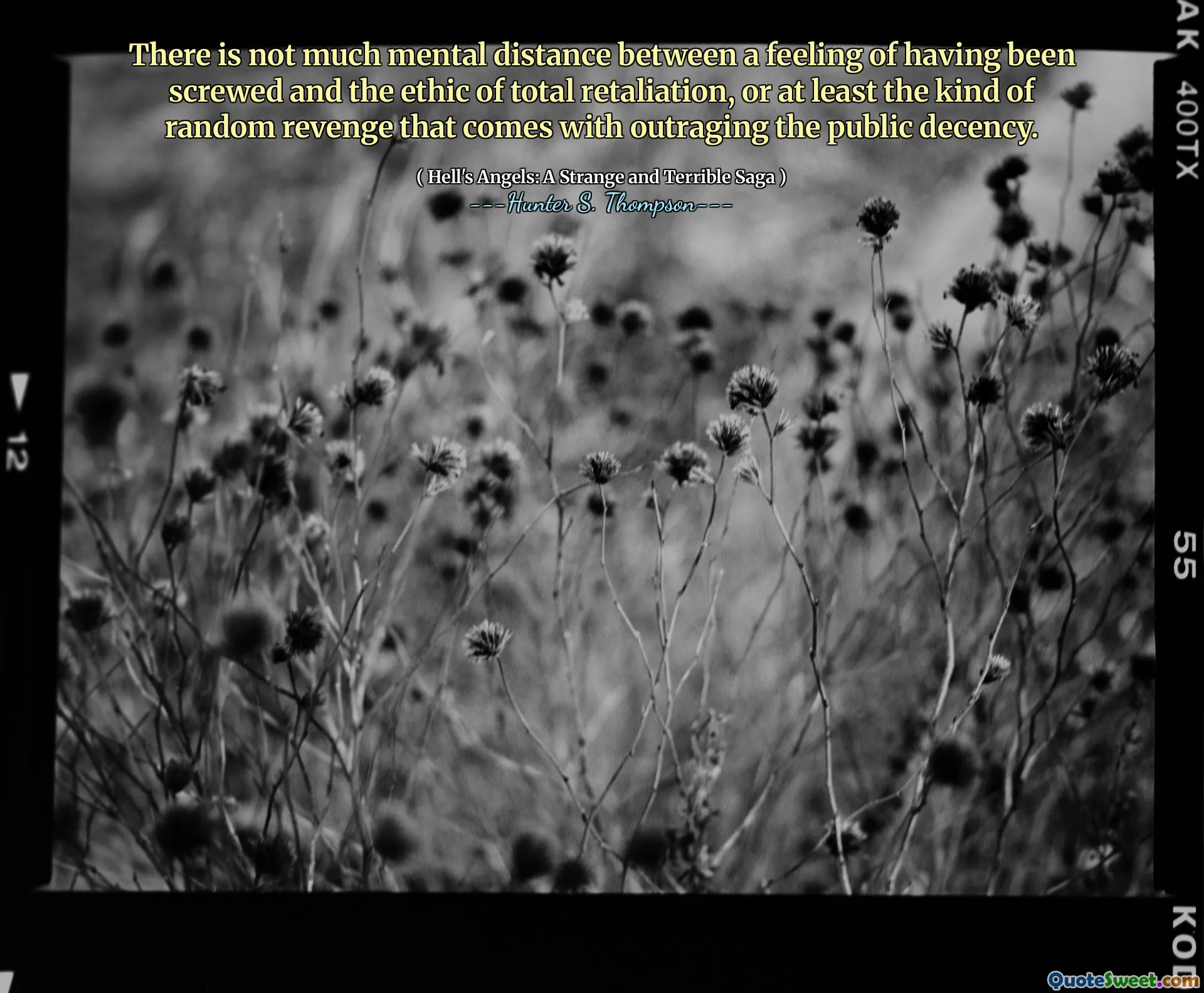 There is not much mental distance between a feeling of having been screwed and the ethic of total retaliation, or at least the kind of random revenge that comes with outraging the public decency.