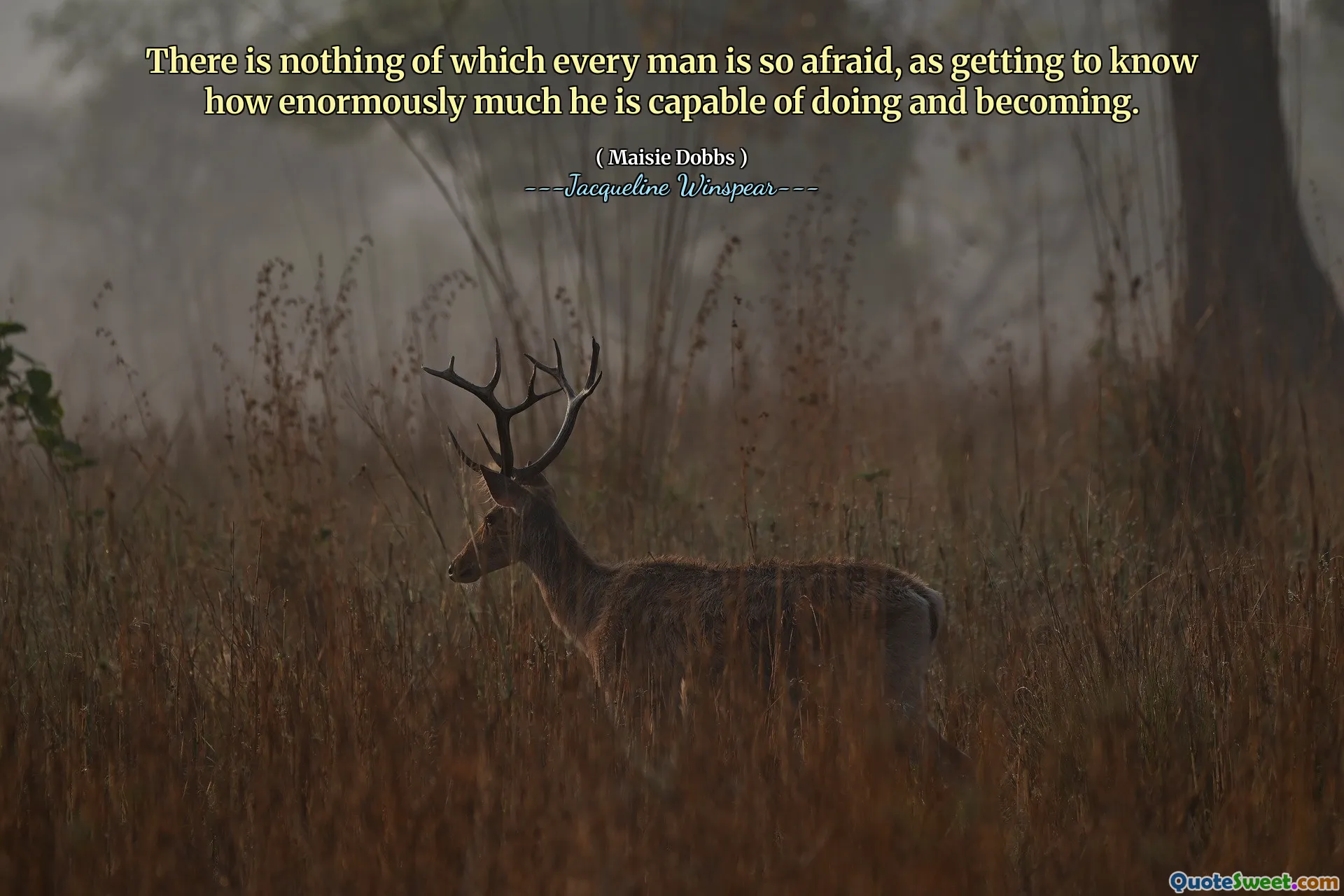 There is nothing of which every man is so afraid, as getting to know how enormously much he is capable of doing and becoming.