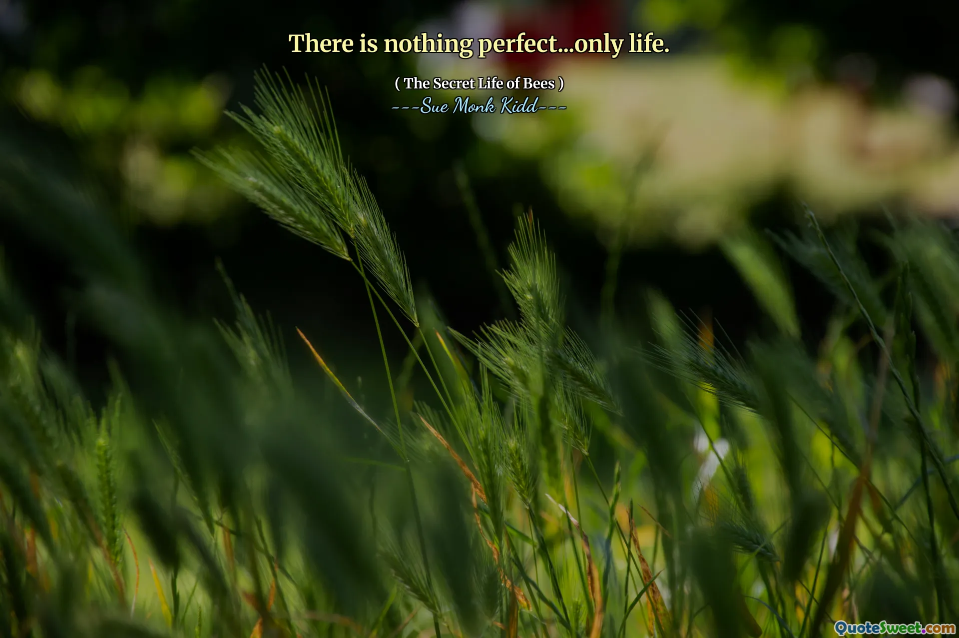 Non c'è niente di perfetto ... solo vita.