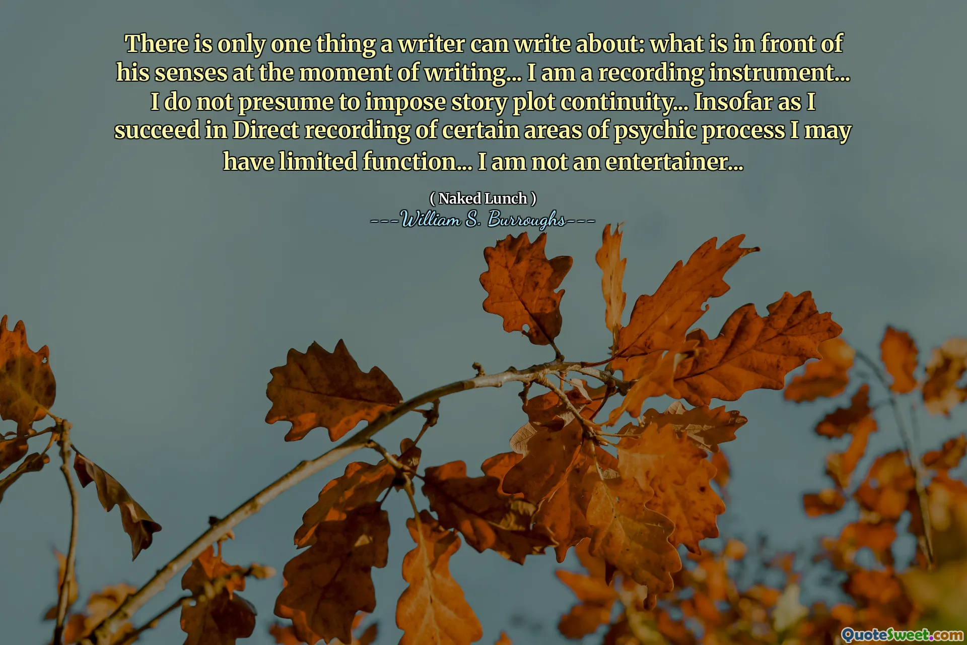 Det er bare en ting en forfatter kan skrive om: hva som er foran sansene hans i skrivende øyeblikk ... Jeg er et innspillingsinstrument ... Jeg antar ikke å innføre historieplottkontinuitet ... i den grad jeg lykkes med direkte innspilling av visse områder av psykisk prosess, kan jeg ha begrenset funksjon ... Jeg er ikke en underholder ...
