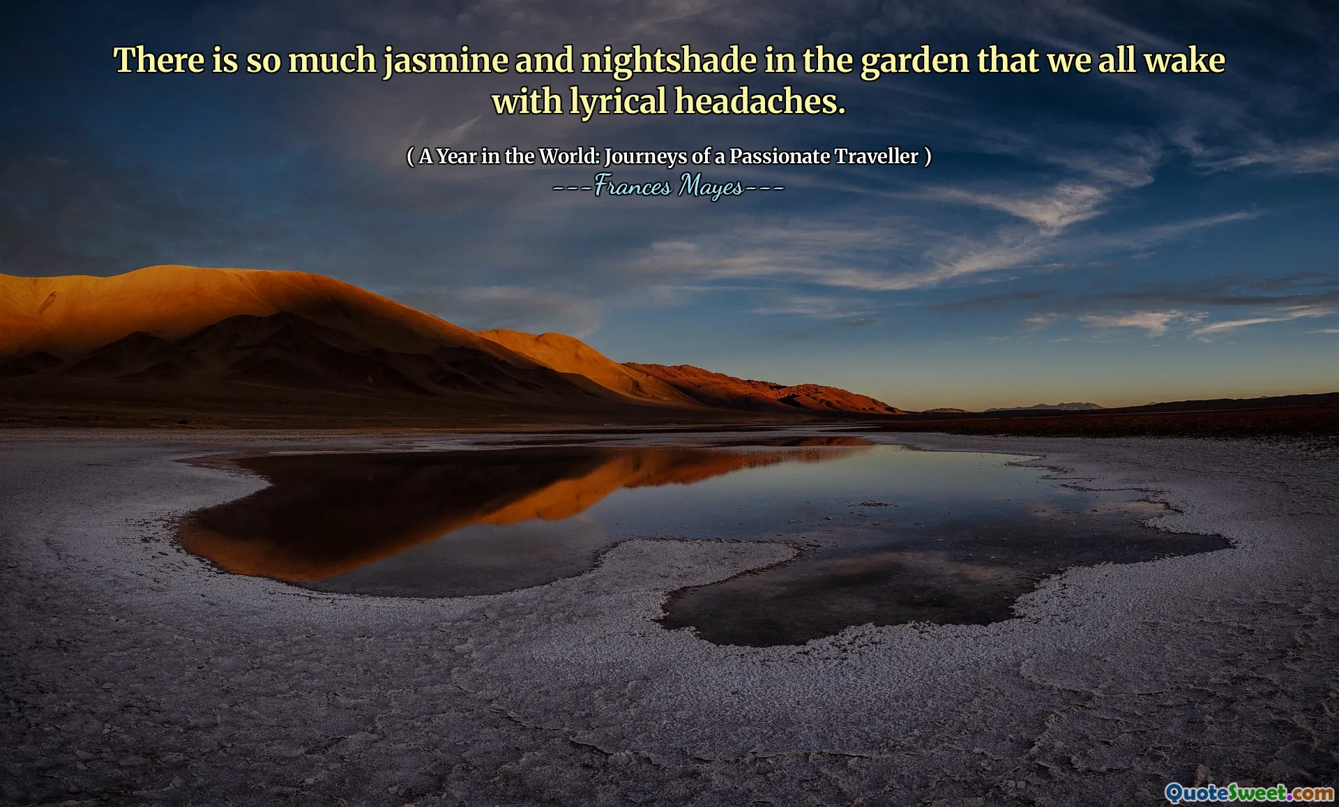 В саду так много жасмина и паслена, что мы все просыпаемся с лирическими головными болями.