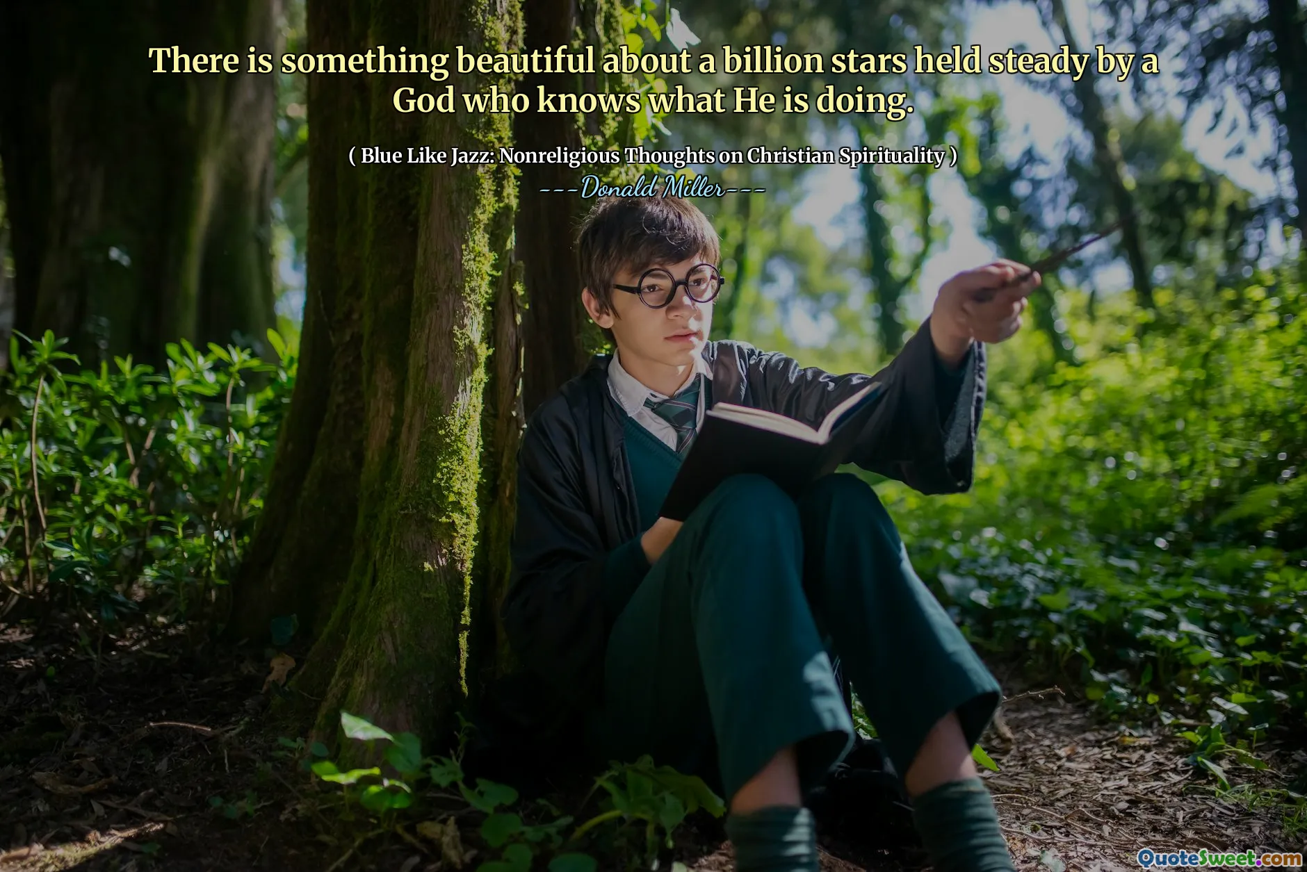 C'è qualcosa di bello in un miliardo di stelle tenute ferme da un Dio che sa cosa sta facendo.