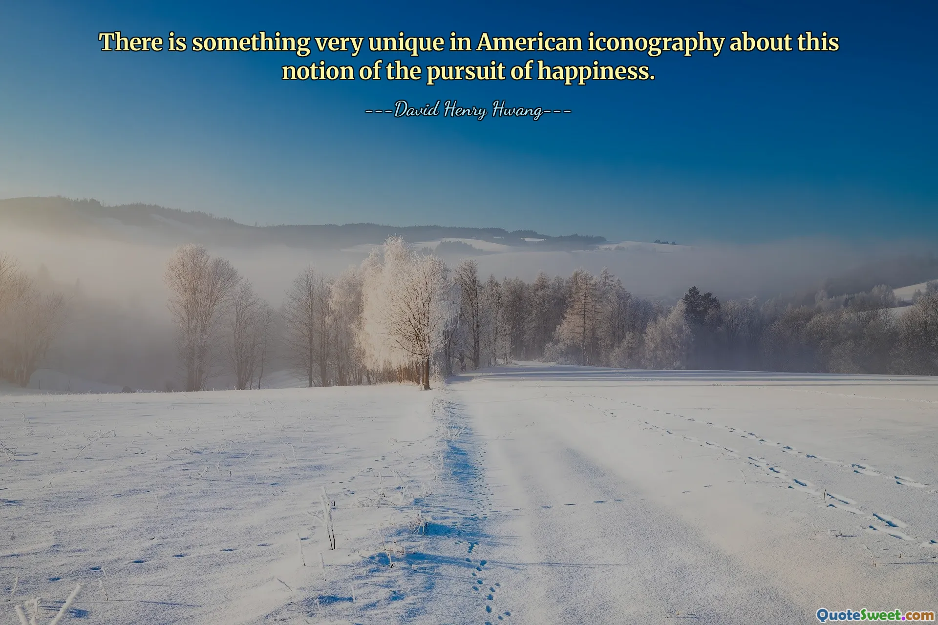 There is something very unique in American iconography about this notion of the pursuit of happiness.