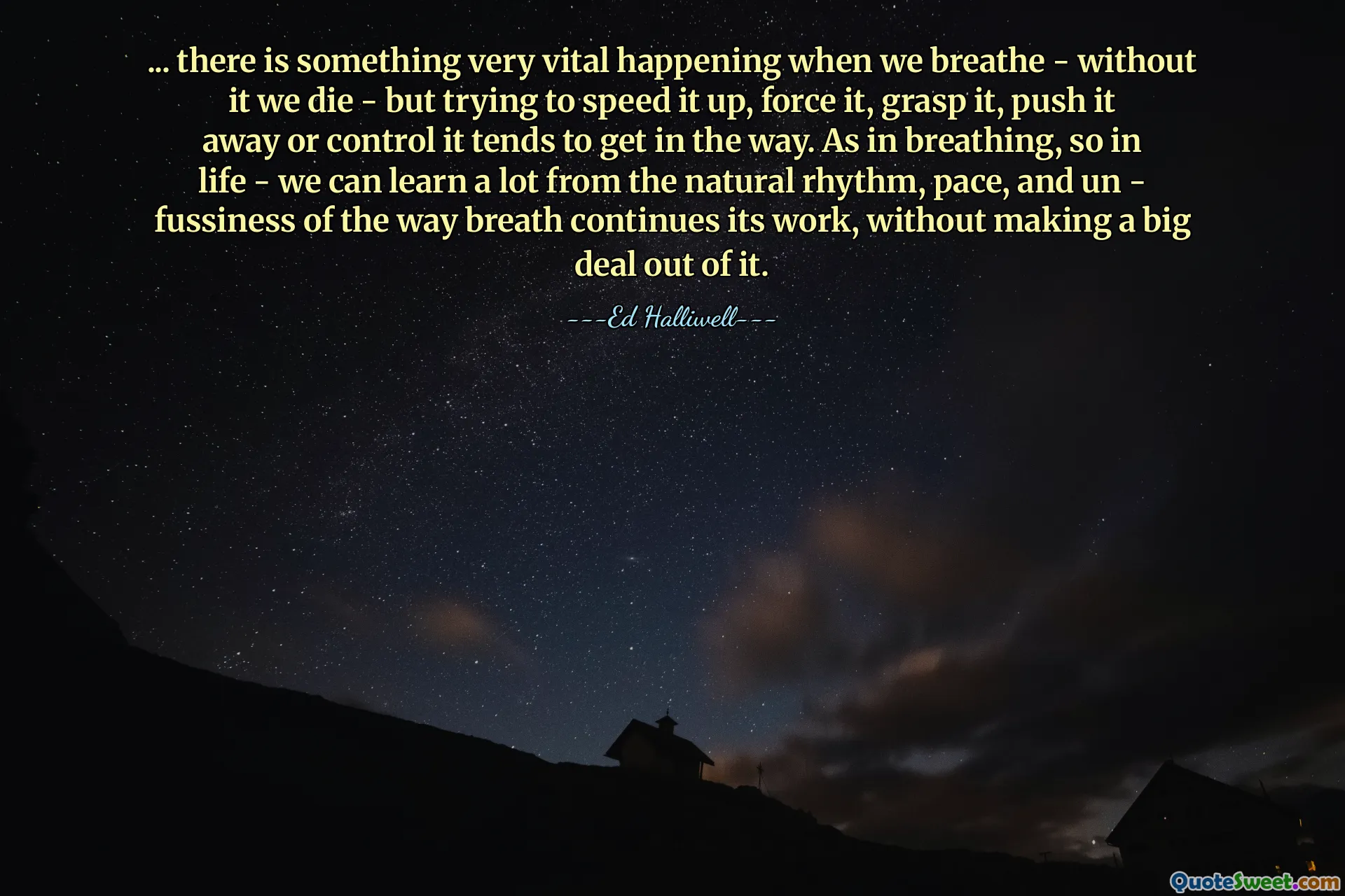 ... there is something very vital happening when we breathe - without it we die - but trying to speed it up, force it, grasp it, push it away or control it tends to get in the way. As in breathing, so in life - we can learn a lot from the natural rhythm, pace, and un - fussiness of the way breath continues its work, without making a big deal out of it.