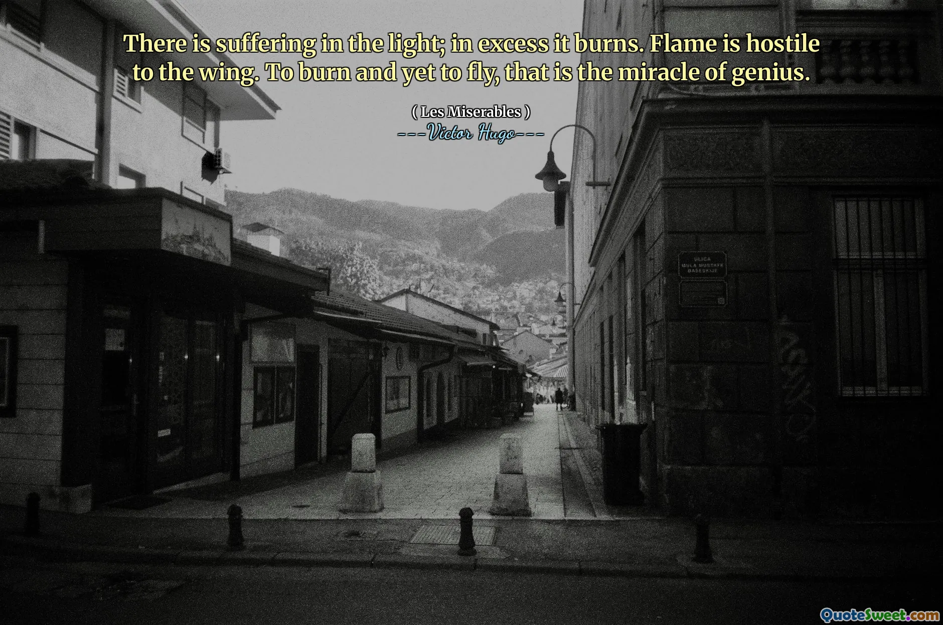 There is suffering in the light; in excess it burns. Flame is hostile to the wing. To burn and yet to fly, that is the miracle of genius.