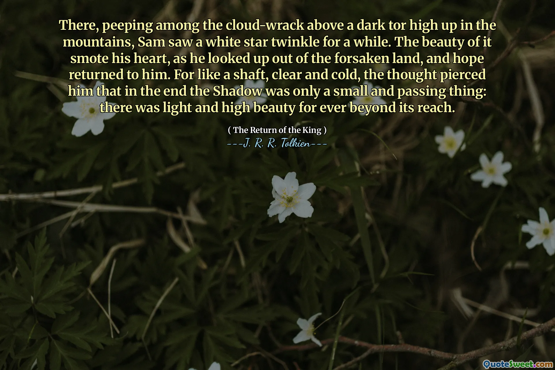 There, peeping among the cloud-wrack above a dark tor high up in the mountains, Sam saw a white star twinkle for a while. The beauty of it smote his heart, as he looked up out of the forsaken land, and hope returned to him. For like a shaft, clear and cold, the thought pierced him that in the end the Shadow was only a small and passing thing: there was light and high beauty for ever beyond its reach.