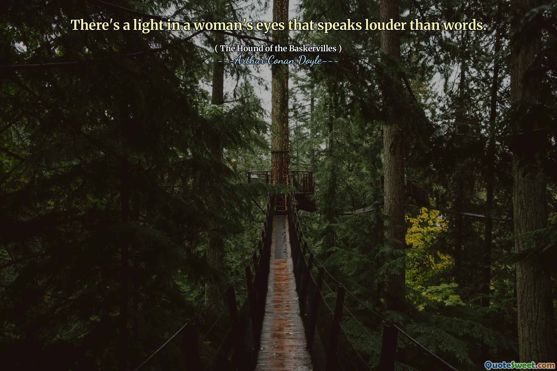 There's a light in a woman's eyes that speaks louder than words.