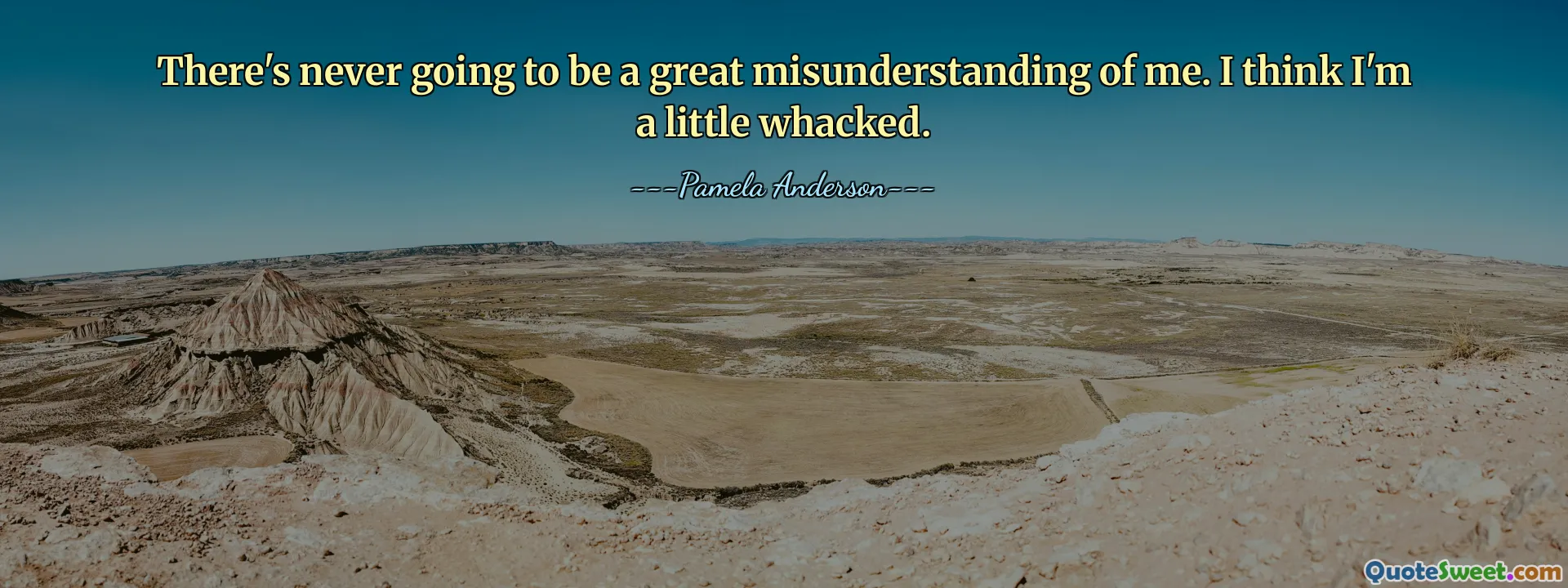 There's never going to be a great misunderstanding of me. I think I'm a little whacked.