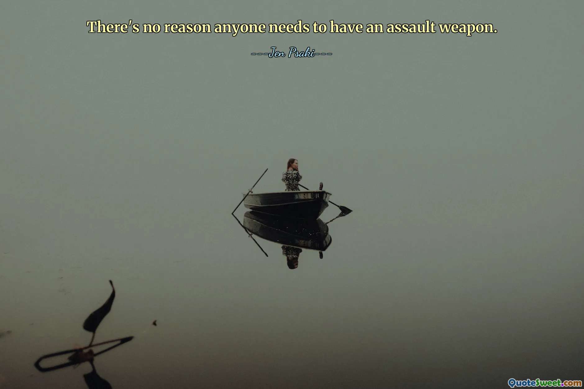 There's no reason anyone needs to have an assault weapon.