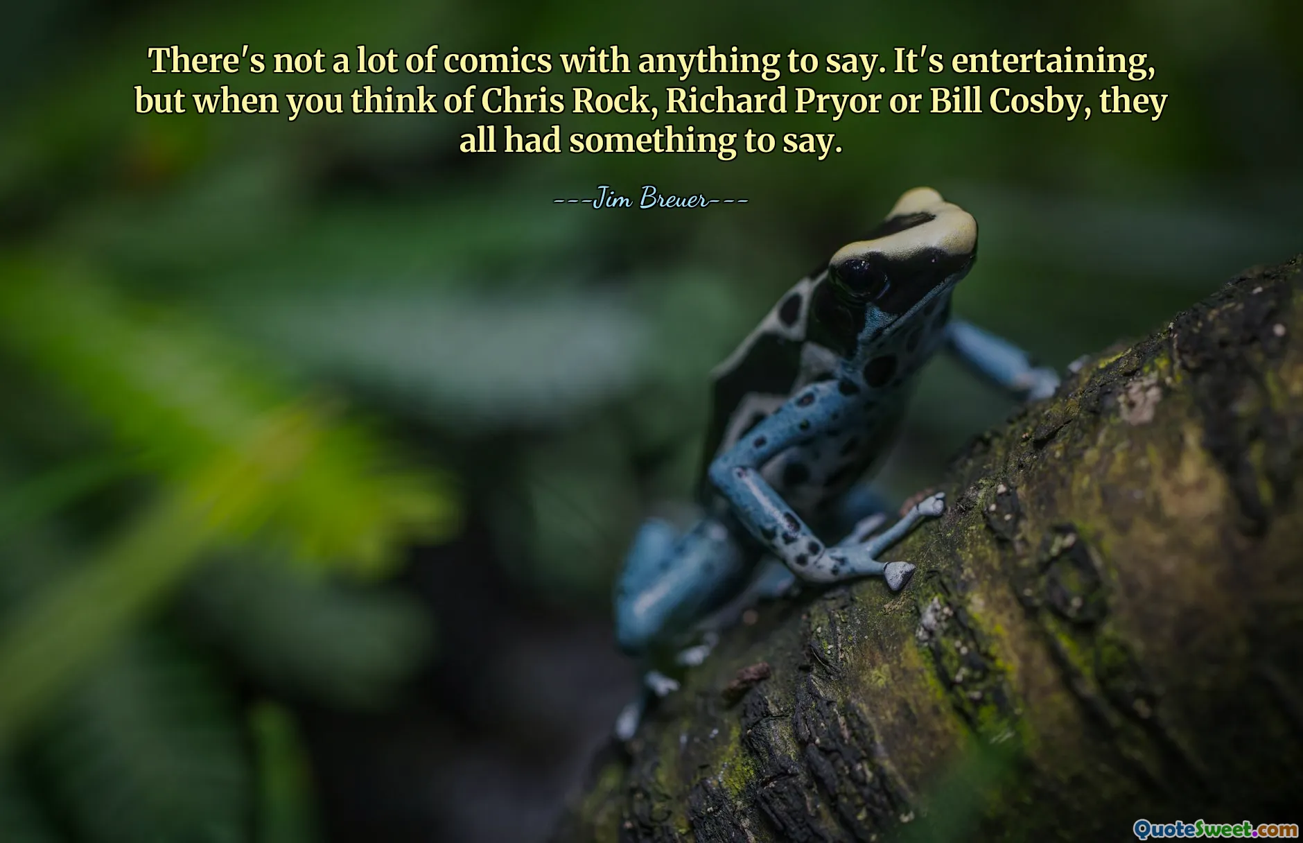 There's not a lot of comics with anything to say. It's entertaining, but when you think of Chris Rock, Richard Pryor or Bill Cosby, they all had something to say.