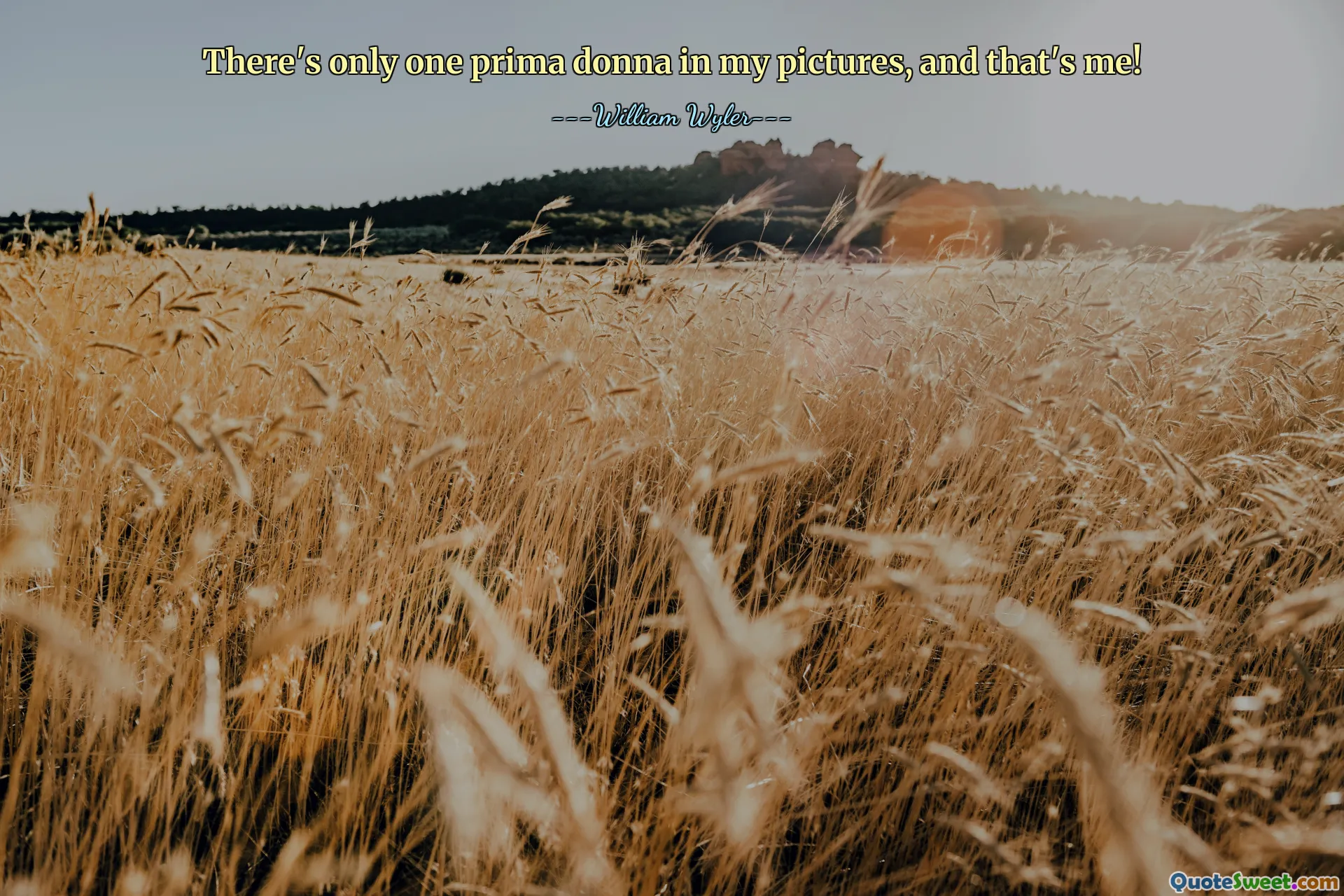 There's only one prima donna in my pictures, and that's me!