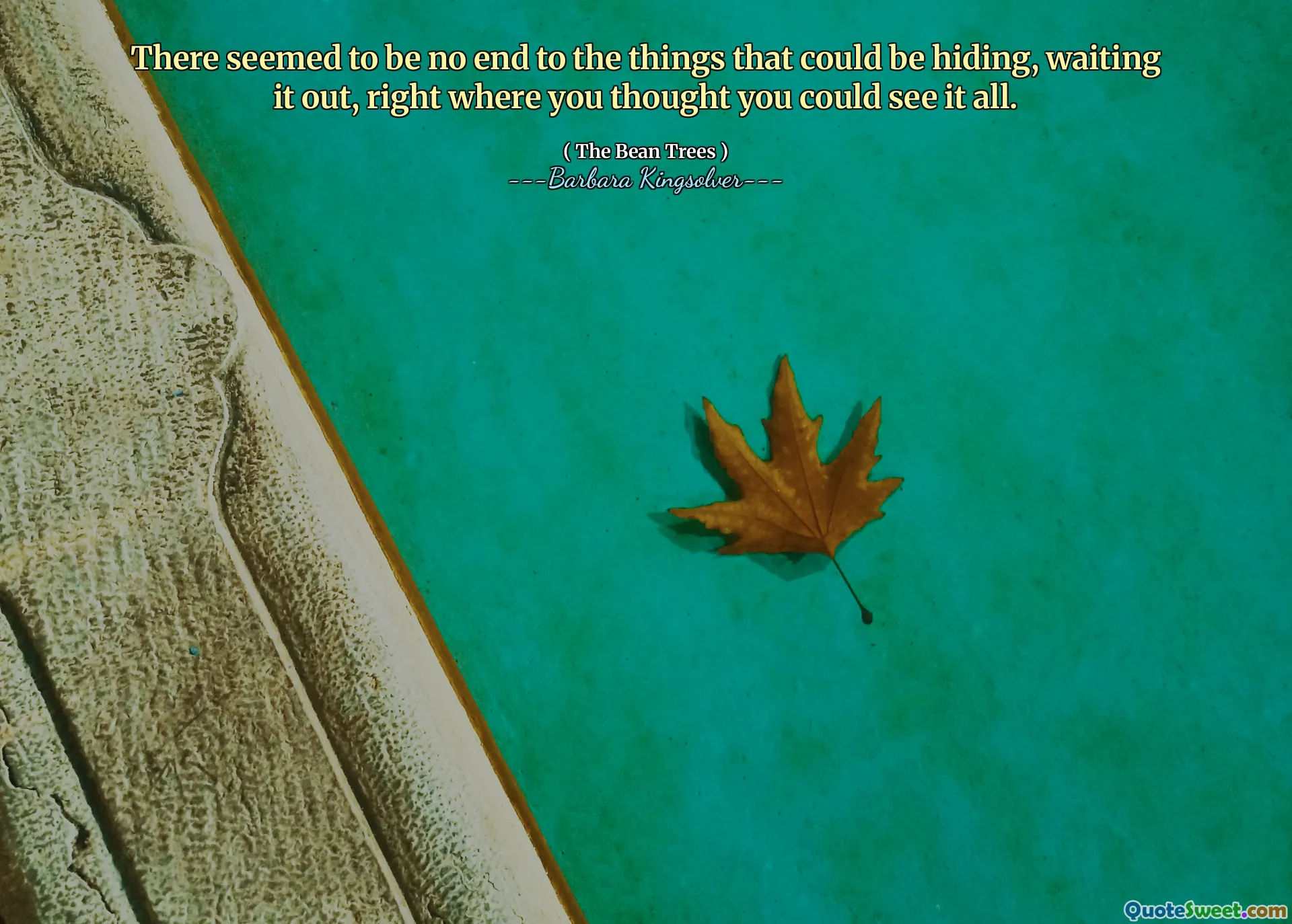 Saklanabilecek, bekleyen, her şeyi görebileceğinizi düşündüğünüz şeylerin sonu yoktu.