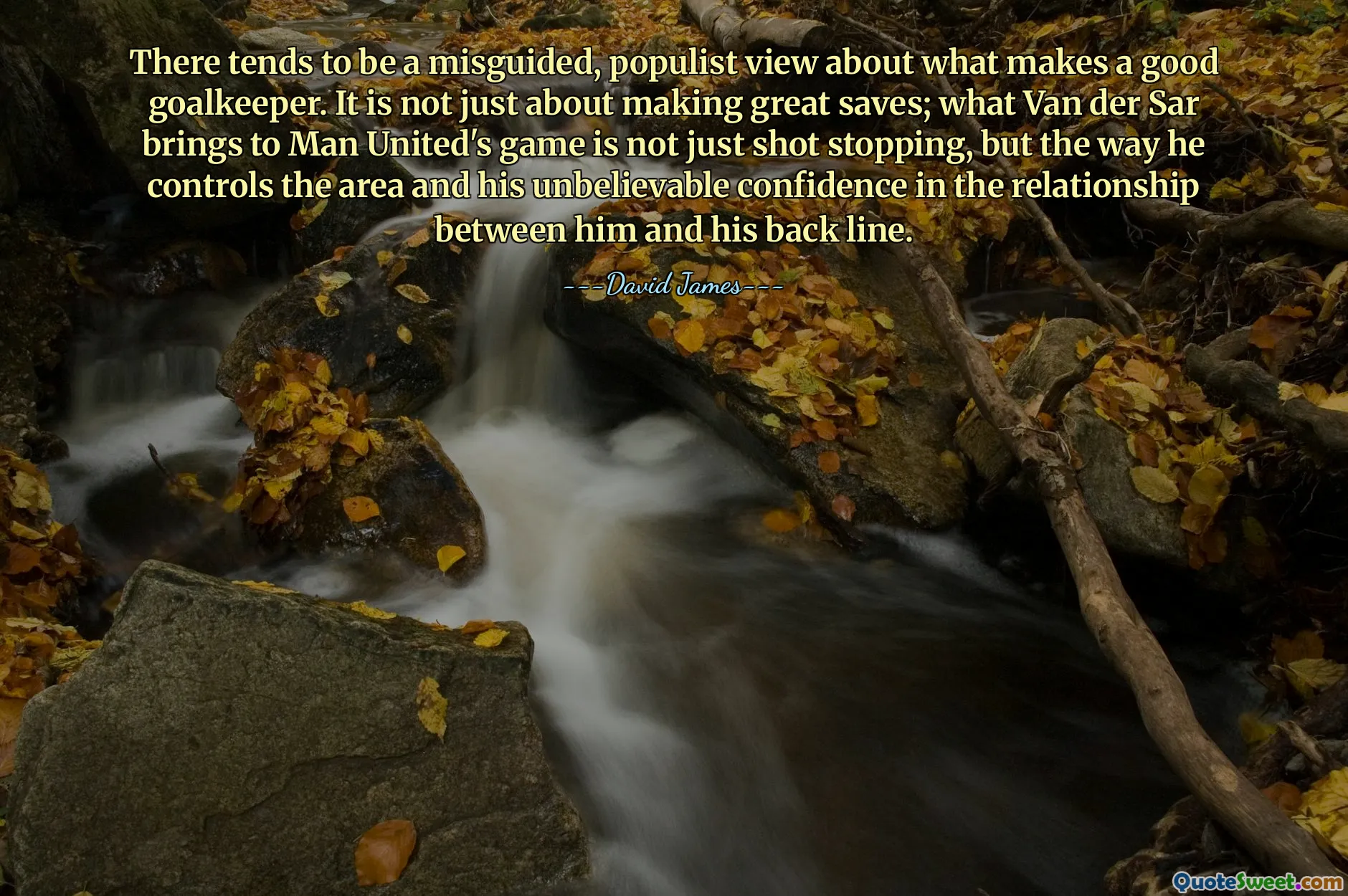 एक अच्छा गोलकीपर क्या बनता है, इसके बारे में एक भ्रामक, लोकलुभावन दृष्टिकोण है। यह केवल बड़ी बचत करने के बारे में नहीं है; वैन डेर सार मैन यूनाइटेड के खेल में जो लाते हैं वह सिर्फ शॉट रोकना नहीं है, बल्कि जिस तरह से वह क्षेत्र को नियंत्रित करते हैं और उनके और उनकी पिछली पंक्ति के बीच संबंधों में उनका अविश्वसनीय आत्मविश्वास है।