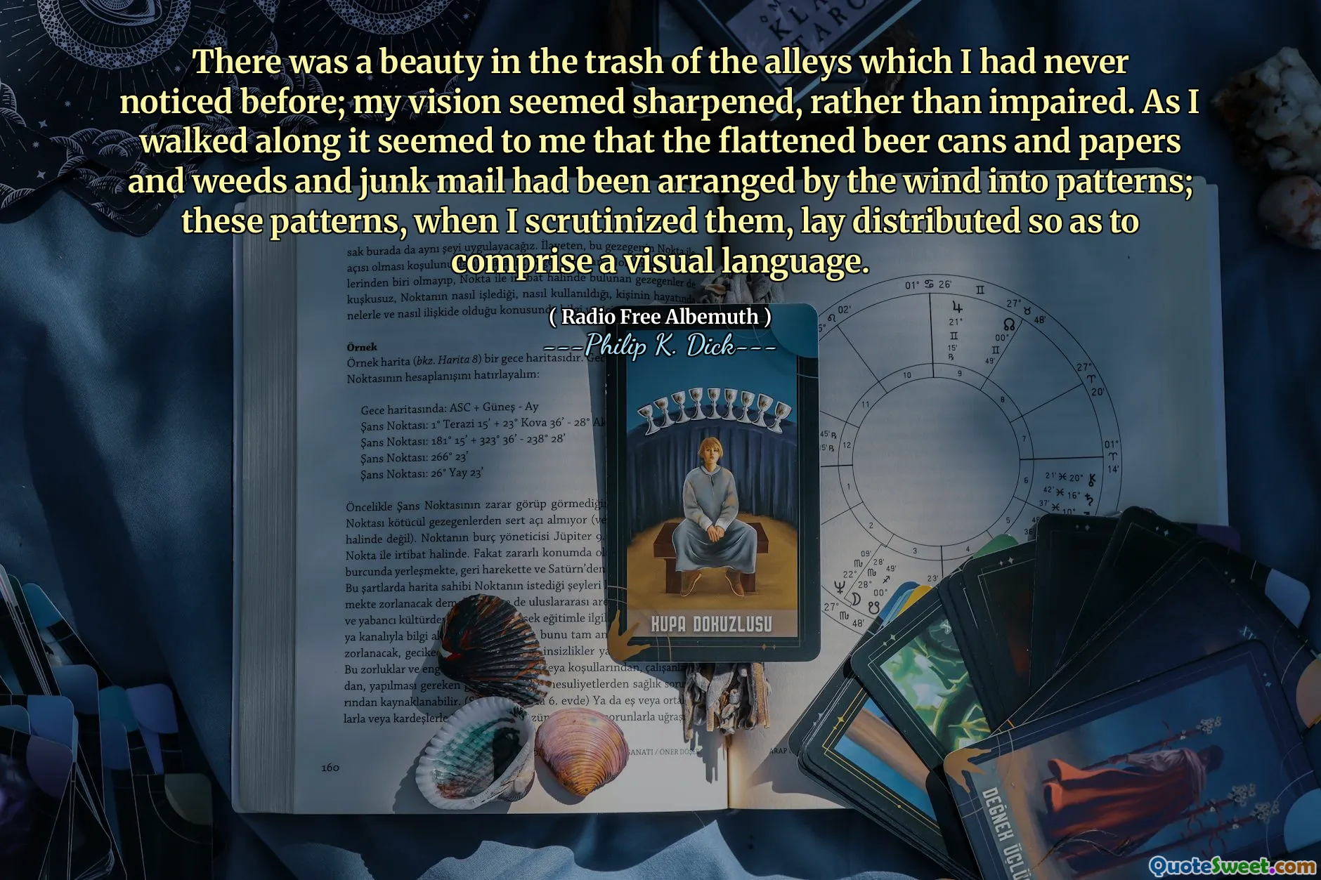 내가 전에 눈치 채지 못했던 골목의 쓰레기에는 아름다움이있었습니다. 내 비전은 손상보다는 날카로운 것처럼 보였다. 내가 걸어 갈 때 평평한 맥주 캔과 종이, 잡초, 정크 메일이 바람에 의해 패턴으로 배열 된 것으로 보였습니다. 이 패턴을 면밀히 조사했을 때이 패턴은 시각적 언어를 구성하기 위해 배포됩니다.