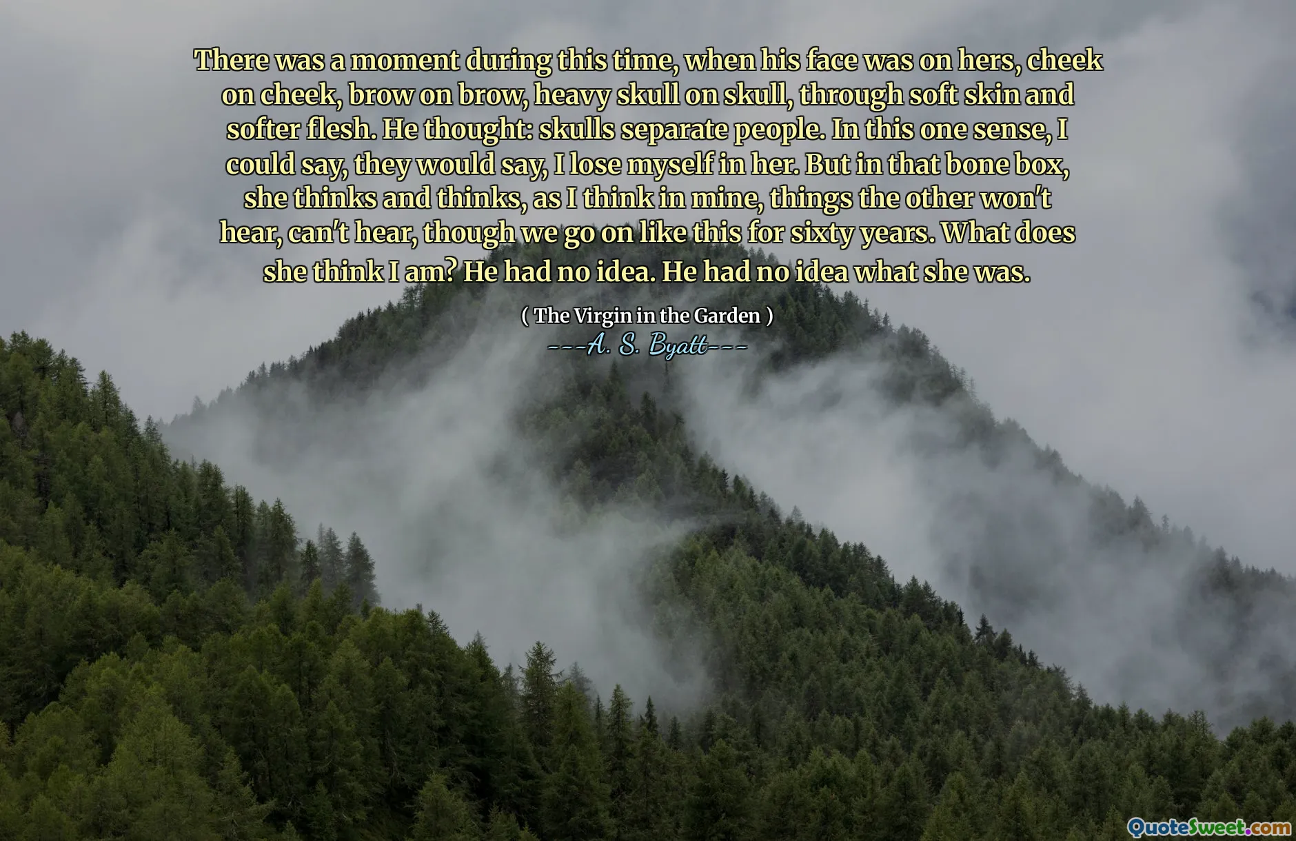 There was a moment during this time, when his face was on hers, cheek on cheek, brow on brow, heavy skull on skull, through soft skin and softer flesh. He thought: skulls separate people. In this one sense, I could say, they would say, I lose myself in her. But in that bone box, she thinks and thinks, as I think in mine, things the other won't hear, can't hear, though we go on like this for sixty years. What does she think I am? He had no idea. He had no idea what she was.