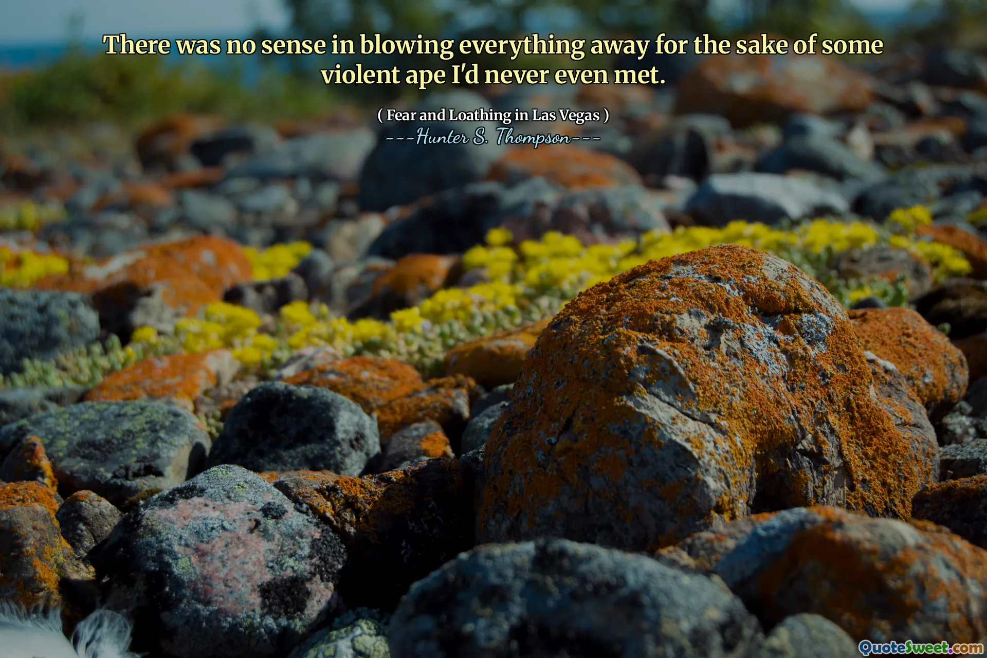 Tidak ada gunanya meniup semuanya demi kera kekerasan yang bahkan tidak pernah saya temui.