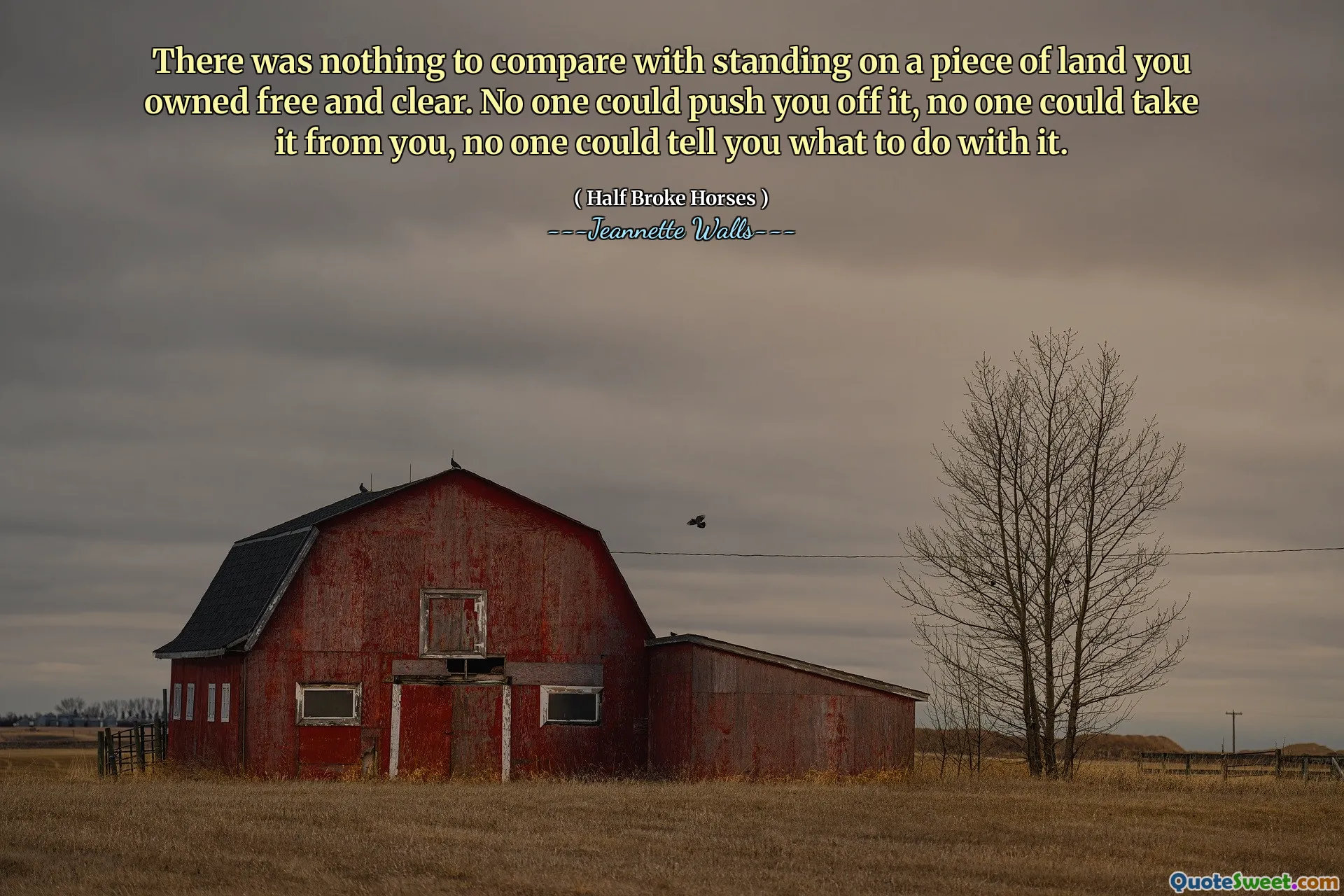 あなたが自由で明確に所有していた土地の上に立っていることと比較するものは何もありませんでした。誰もあなたを押しのけず、誰もあなたからそれを取ることができず、誰もあなたにそれをどうするかをあなたに伝えることができませんでした。