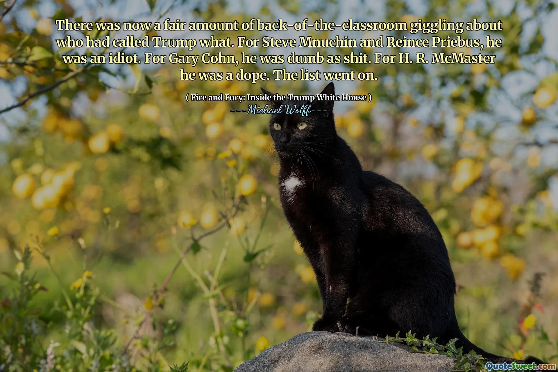 There was now a fair amount of back-of-the-classroom giggling about who had called Trump what. For Steve Mnuchin and Reince Priebus, he was an idiot. For Gary Cohn, he was dumb as shit. For H. R. McMaster he was a dope. The list went on.