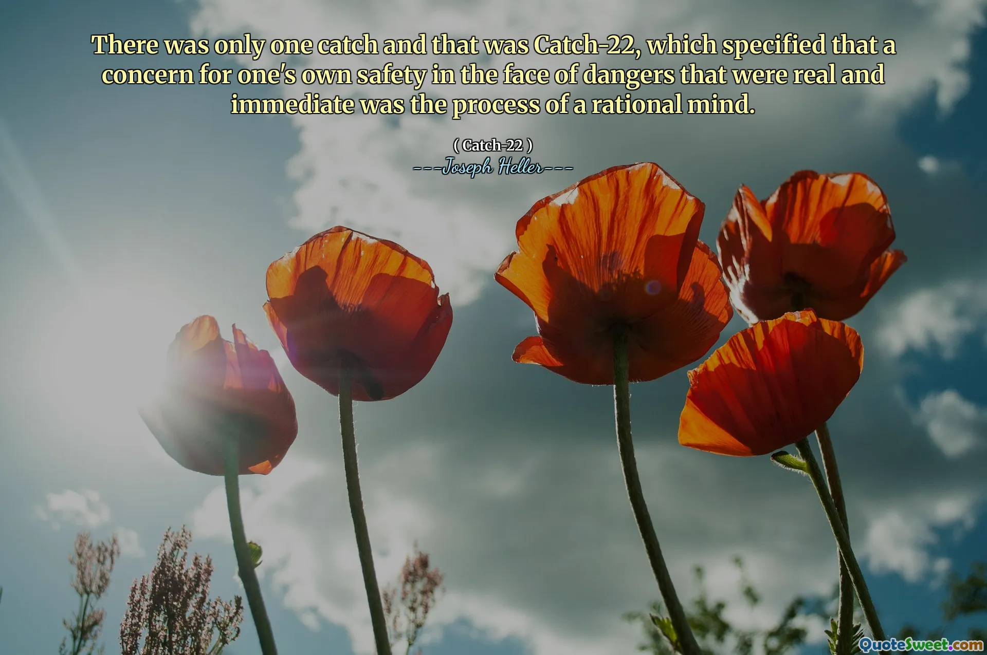 There was only one catch and that was Catch-22, which specified that a concern for one's own safety in the face of dangers that were real and immediate was the process of a rational mind.