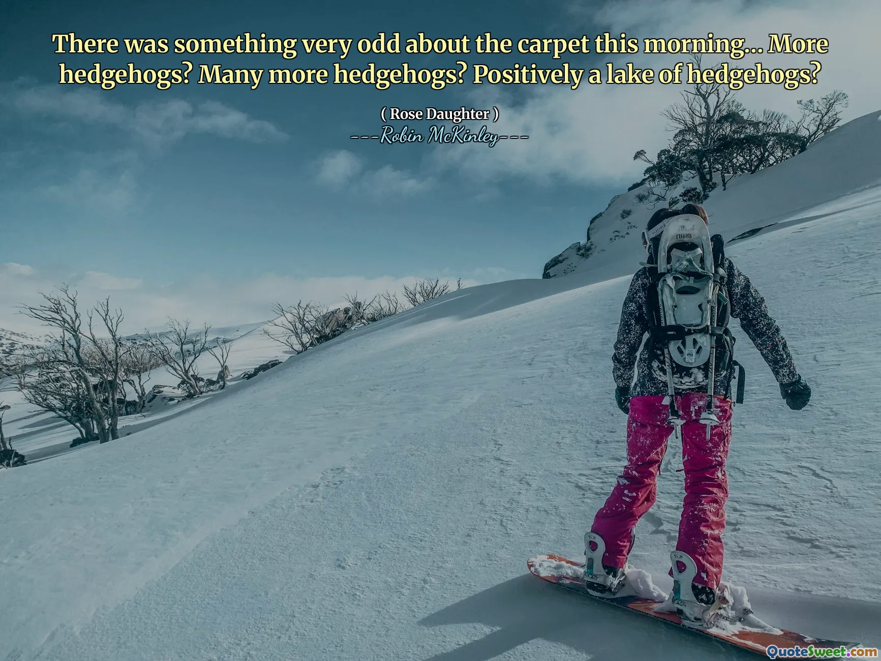 There was something very odd about the carpet this morning… More hedgehogs? Many more hedgehogs? Positively a lake of hedgehogs?