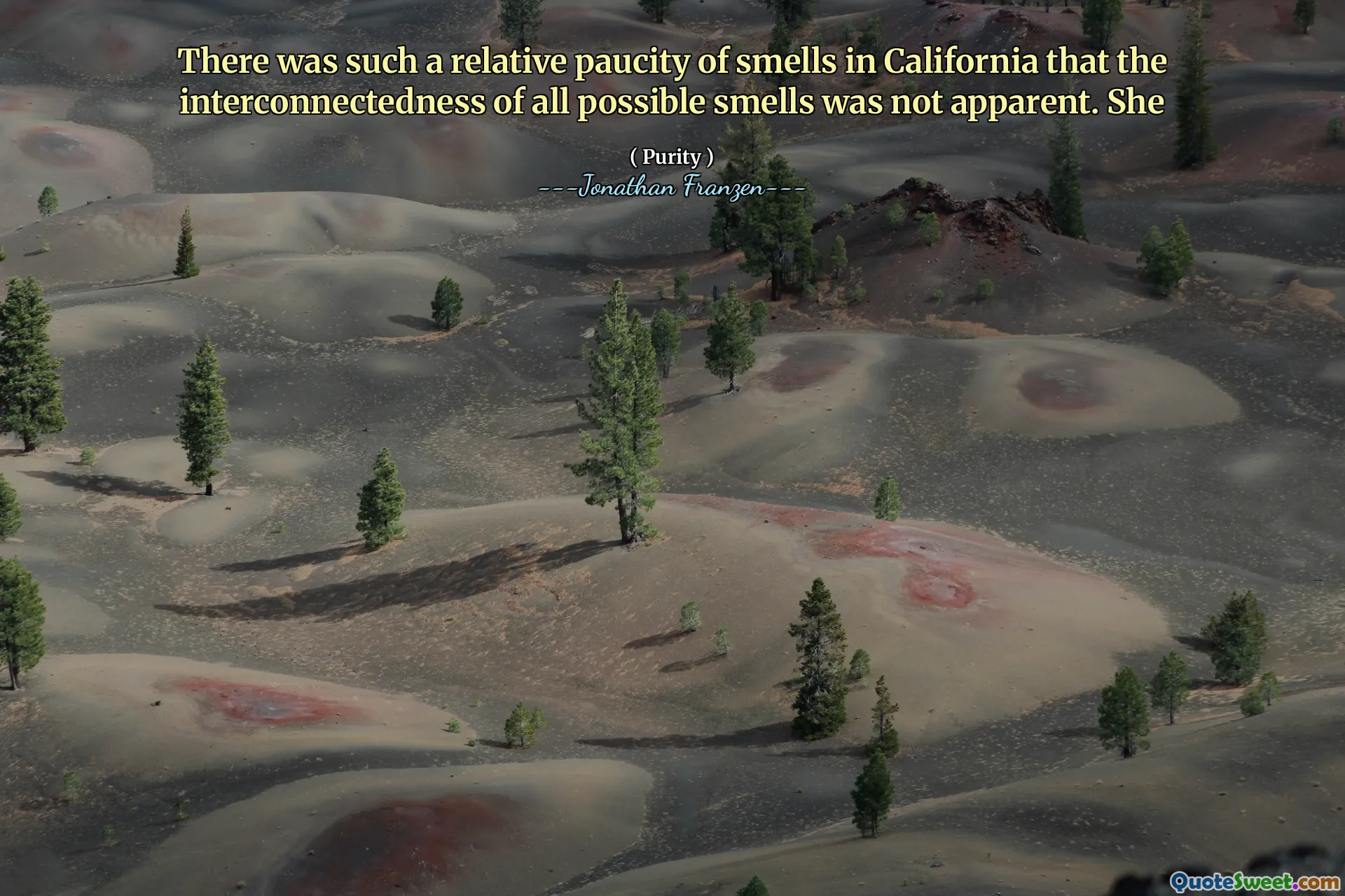 There was such a relative paucity of smells in California that the interconnectedness of all possible smells was not apparent. She