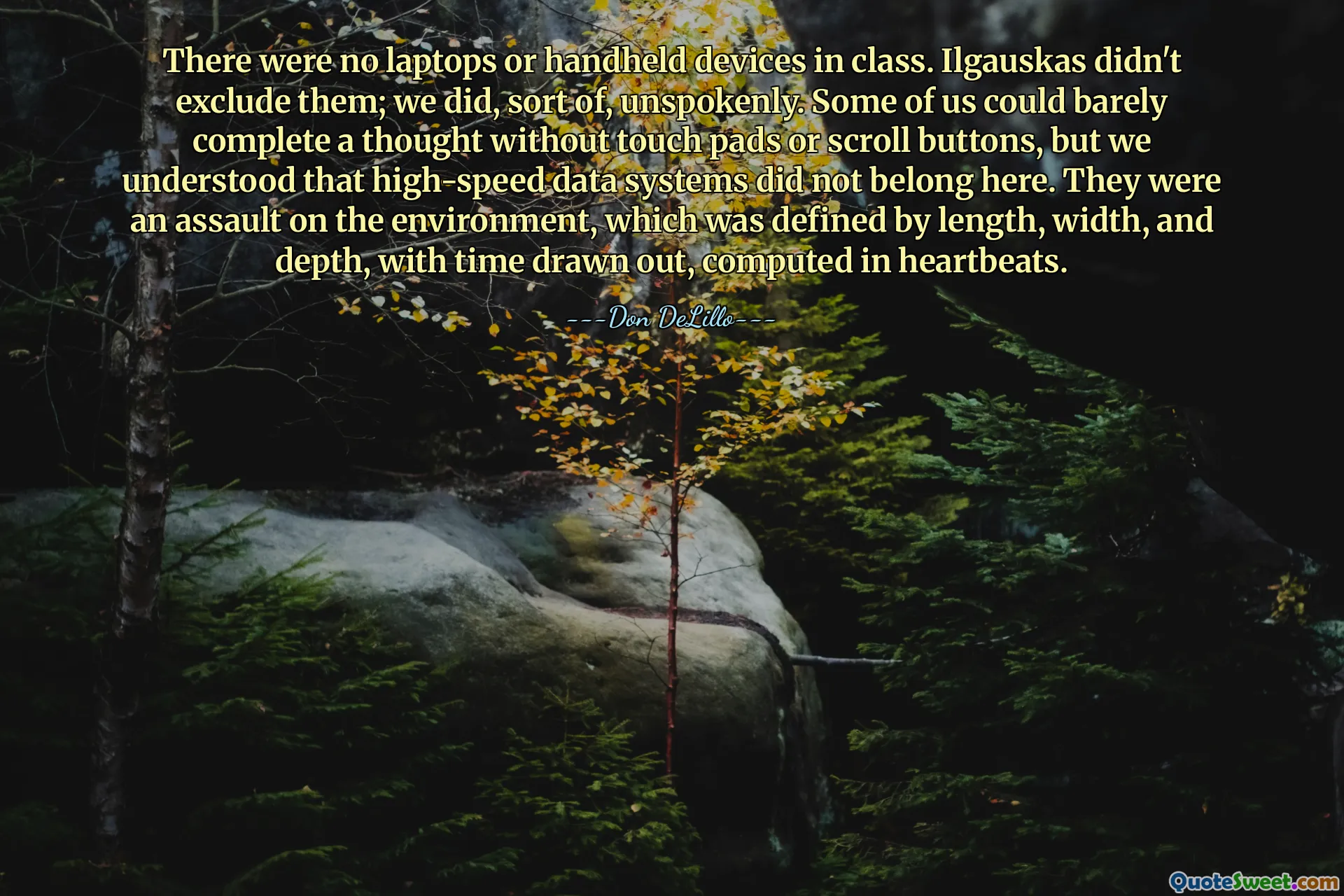 There were no laptops or handheld devices in class. Ilgauskas didn't exclude them; we did, sort of, unspokenly. Some of us could barely complete a thought without touch pads or scroll buttons, but we understood that high-speed data systems did not belong here. They were an assault on the environment, which was defined by length, width, and depth, with time drawn out, computed in heartbeats.