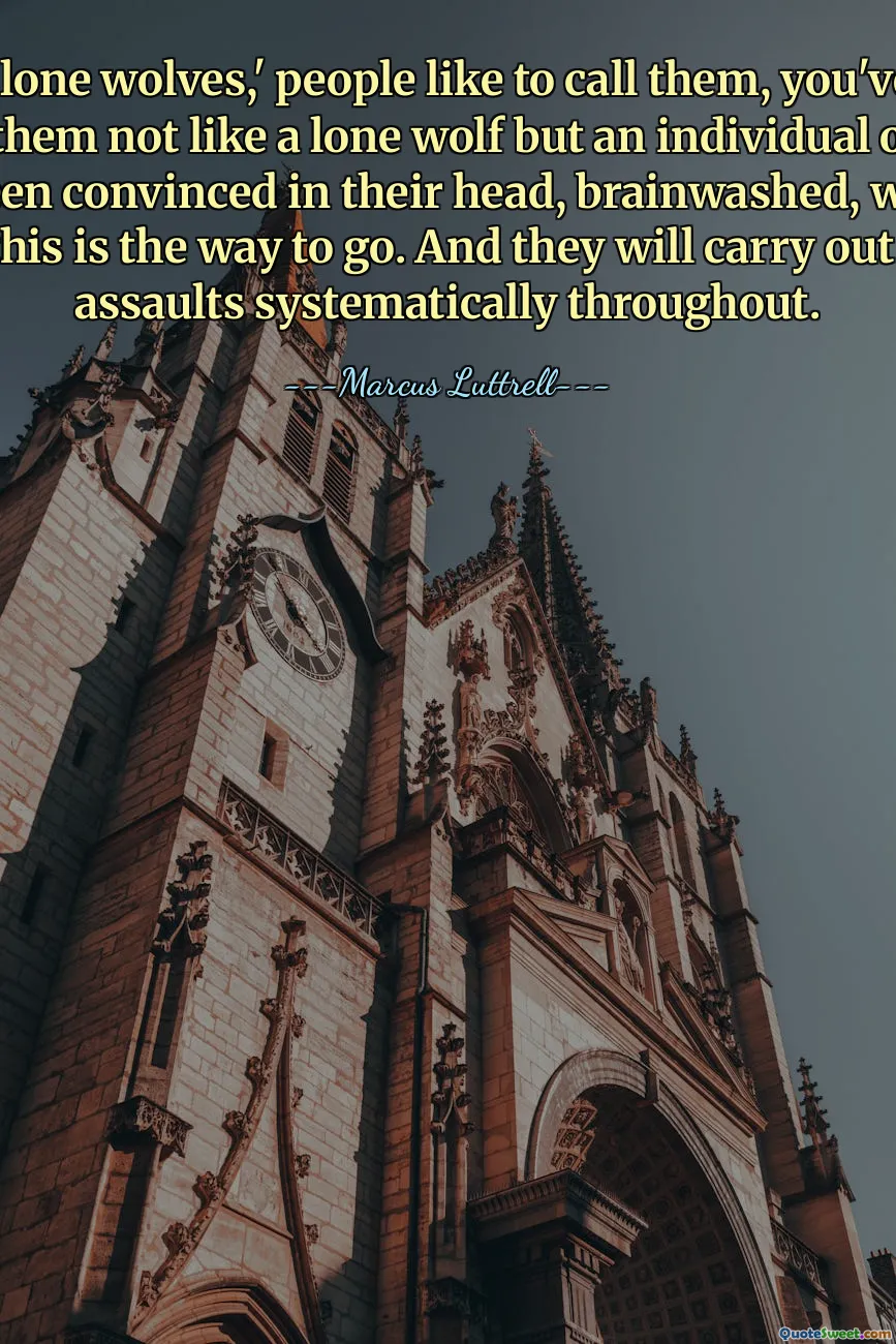 Dessa "ensamvargar", som folk tycker om att kalla dem, du måste se på dem inte som en ensamvarg utan en enskild operatör som har varit övertygad i sitt huvud, hjärntvättad, vad som helst, att det här är vägen att gå. Och de kommer att utföra sina övergrepp systematiskt hela tiden.