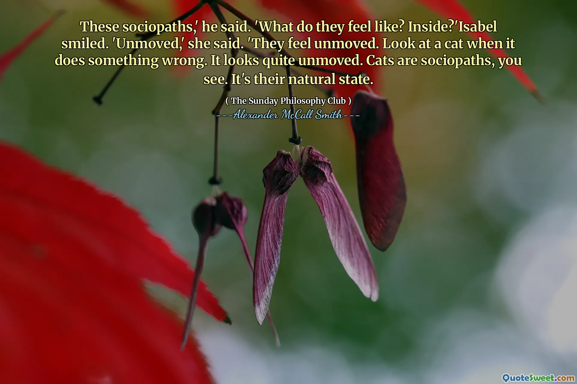 这些社会变态者。 ``他们感觉如何？里面？'伊莎贝尔微笑。她说：“不动。”他们感到不动。看猫做错事时看。它看起来很不动。猫是社会变态者。这是他们的自然状态。