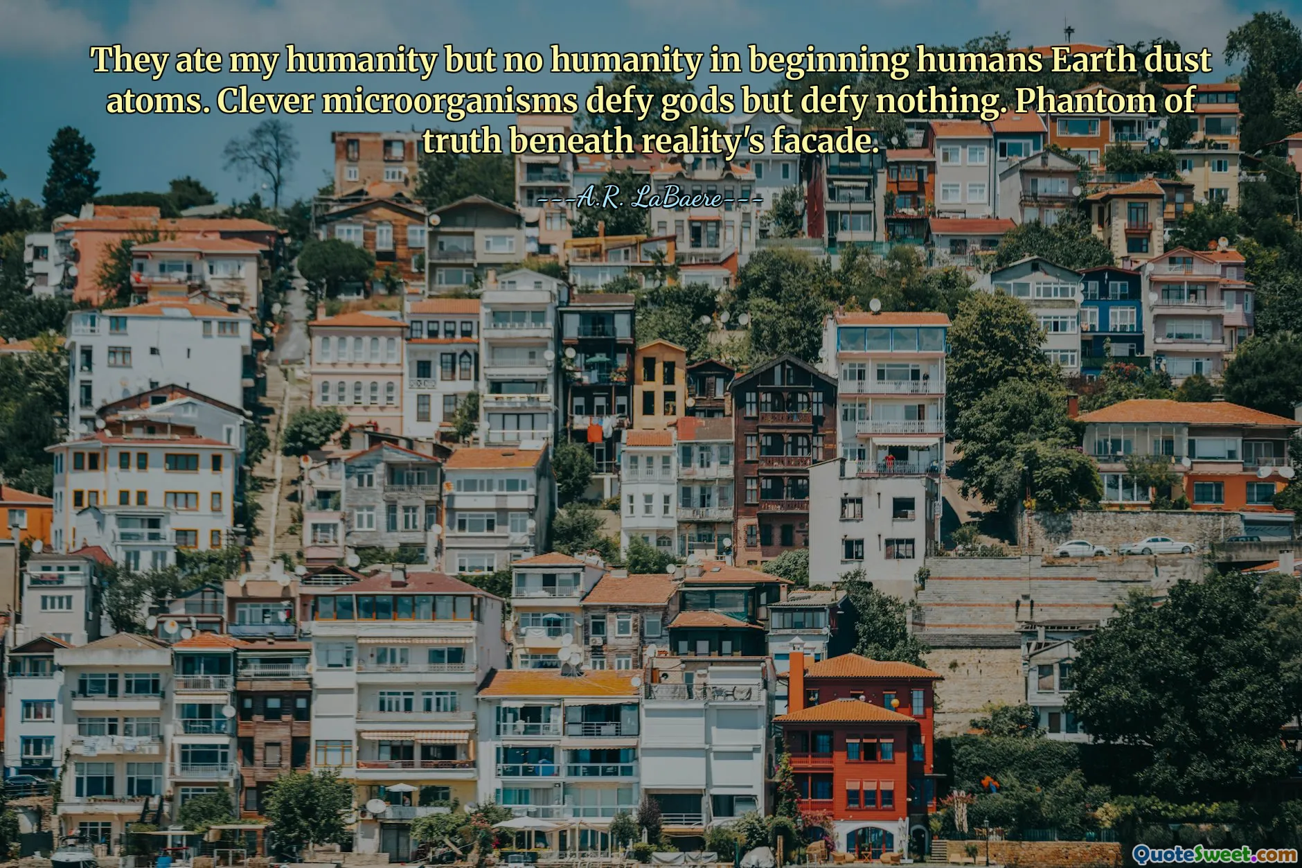 They ate my humanity but no humanity in beginning humans Earth dust atoms. Clever microorganisms defy gods but defy nothing. Phantom of truth beneath reality's facade.