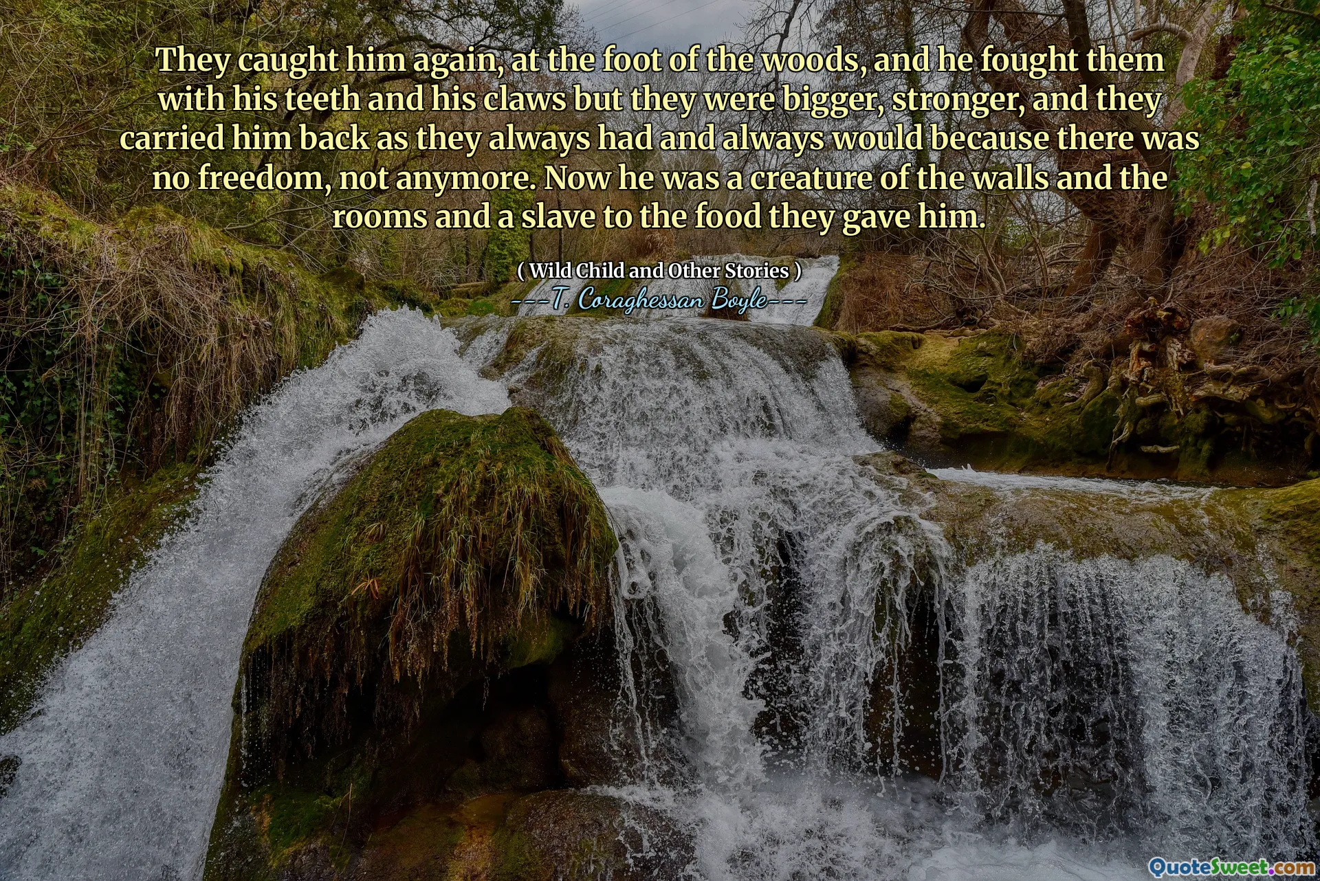 他们再次在树林脚下抓住了他，他用牙齿和爪子与他们作战，但他们更大，更强壮，他们像往常一样将他带回去，并且总是因为没有自由，而不再是。现在，他是墙壁和房间的生物，也是他们给他的食物的奴隶。