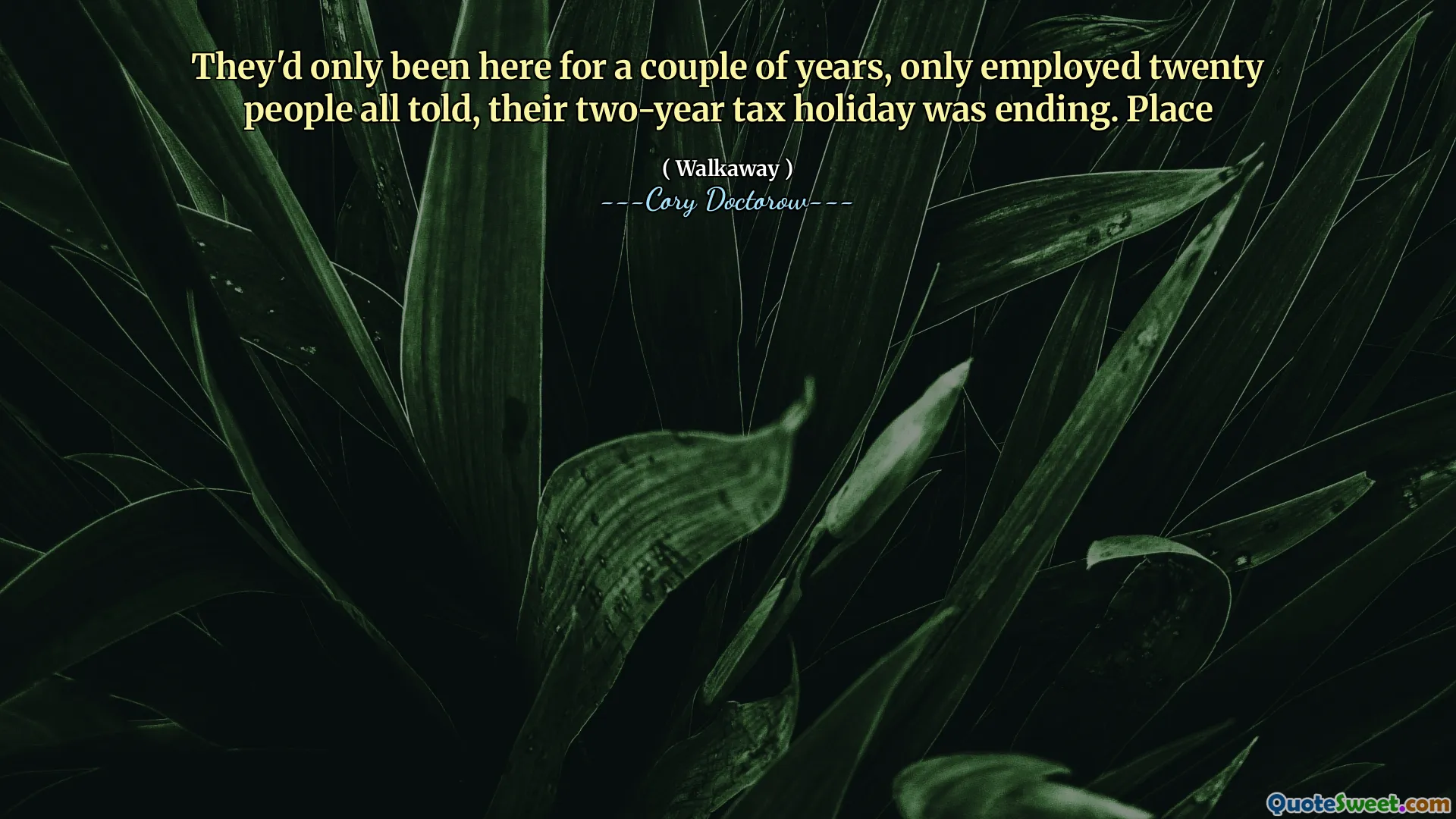 They'd only been here for a couple of years, only employed twenty people all told, their two-year tax holiday was ending. Place