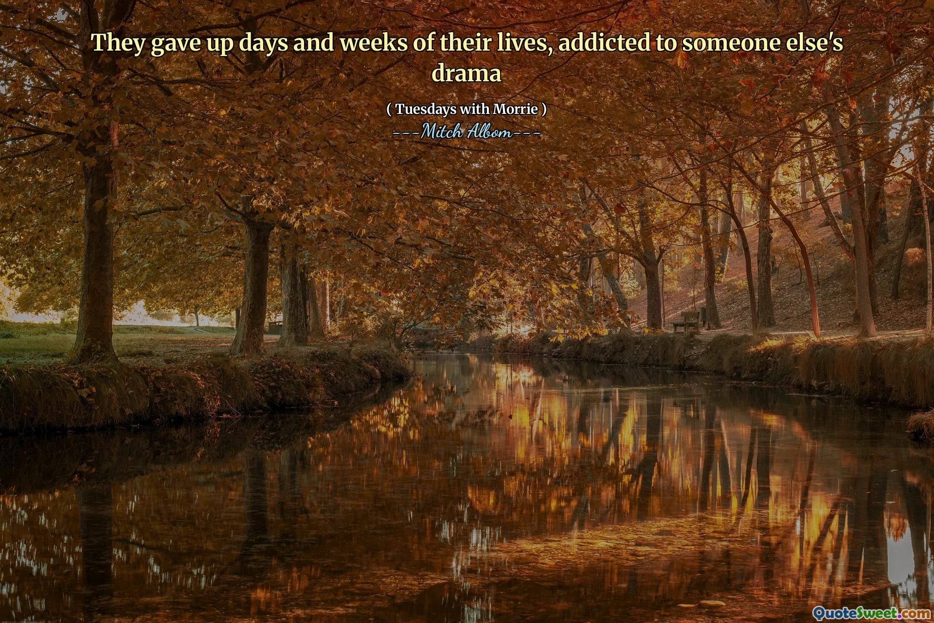 Renunciaron días y semanas de sus vidas, adictos al drama de otra persona