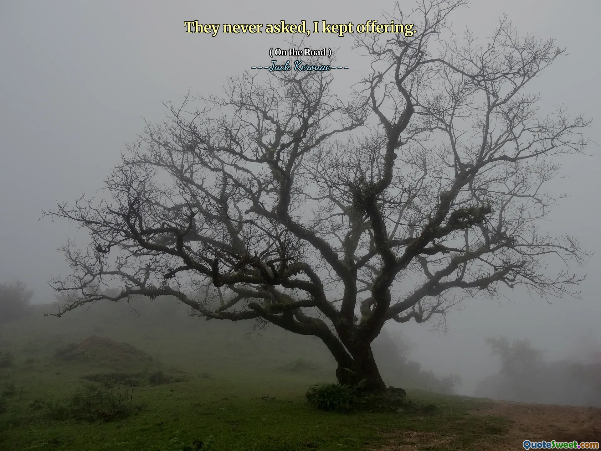 They never asked, I kept offering.