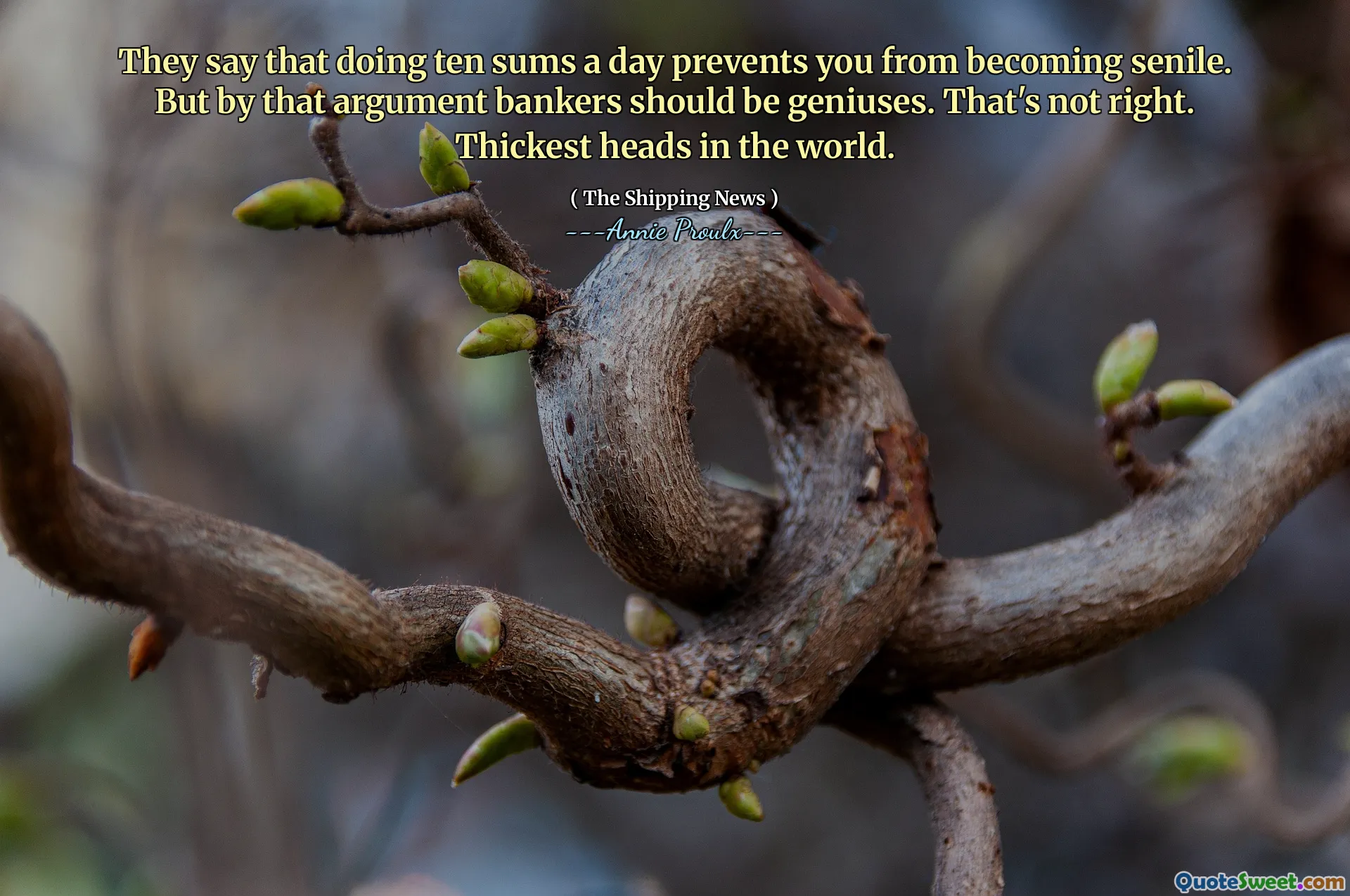 彼らは、1日に10匹の合計を行うと、老人になることができないと言います。しかし、その議論により、銀行家は天才であるべきです。そうではありません。世界で最も厚い頭。