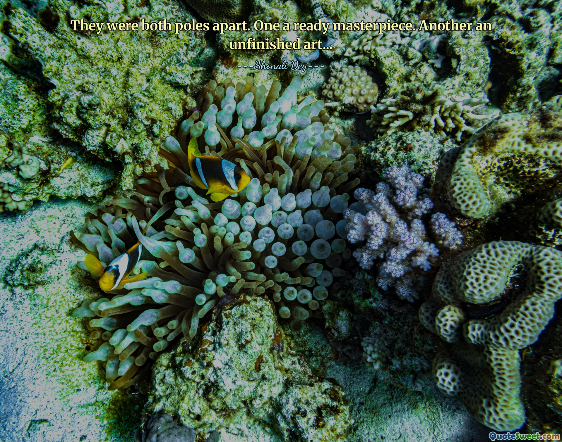 They were both poles apart. One a ready masterpiece. Another an unfinished art...