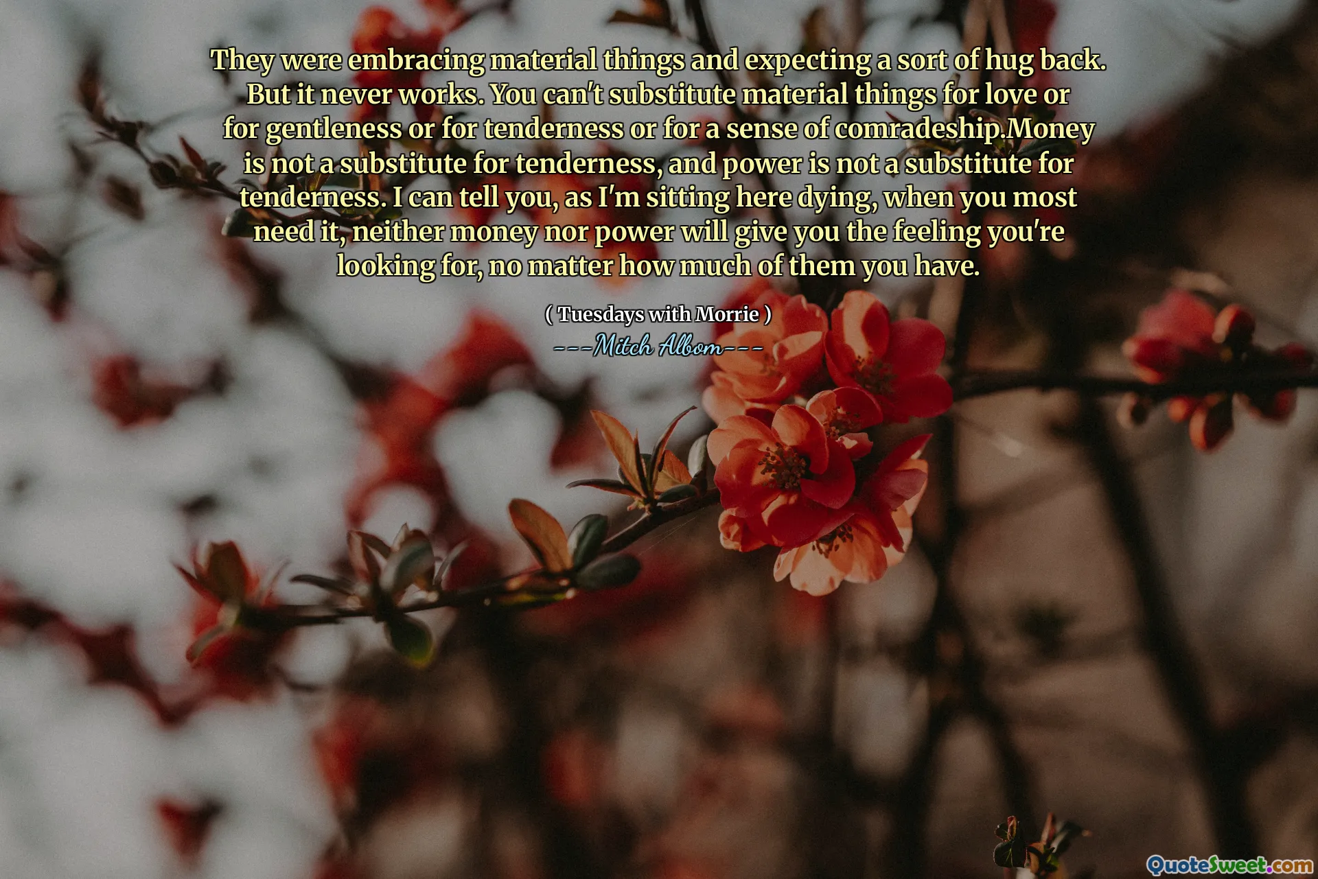 They were embracing material things and expecting a sort of hug back. But it never works. You can't substitute material things for love or for gentleness or for tenderness or for a sense of comradeship.Money is not a substitute for tenderness, and power is not a substitute for tenderness. I can tell you, as I'm sitting here dying, when you most need it, neither money nor power will give you the feeling you're looking for, no matter how much of them you have.