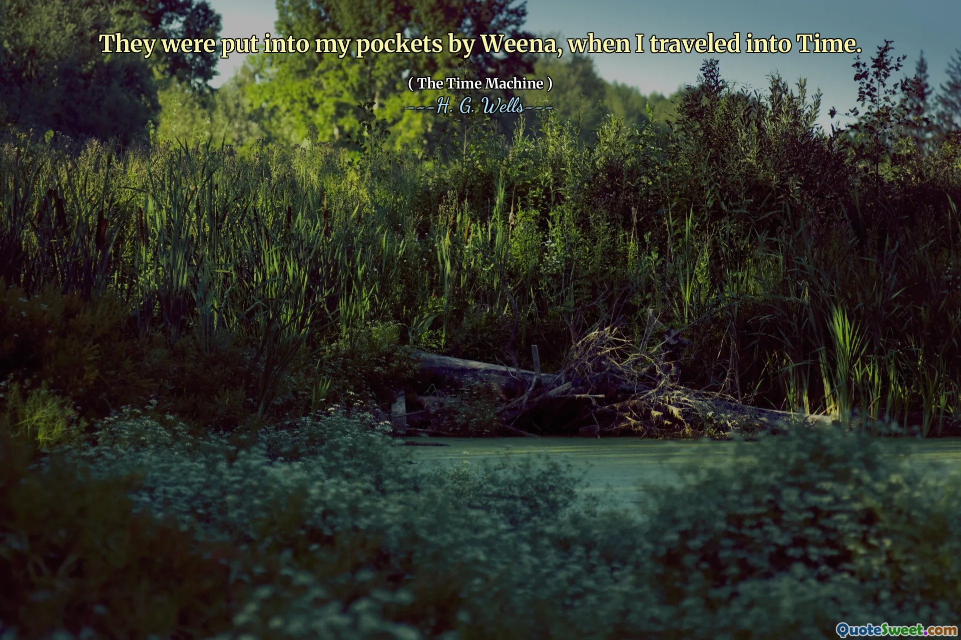 They were put into my pockets by Weena, when I traveled into Time.