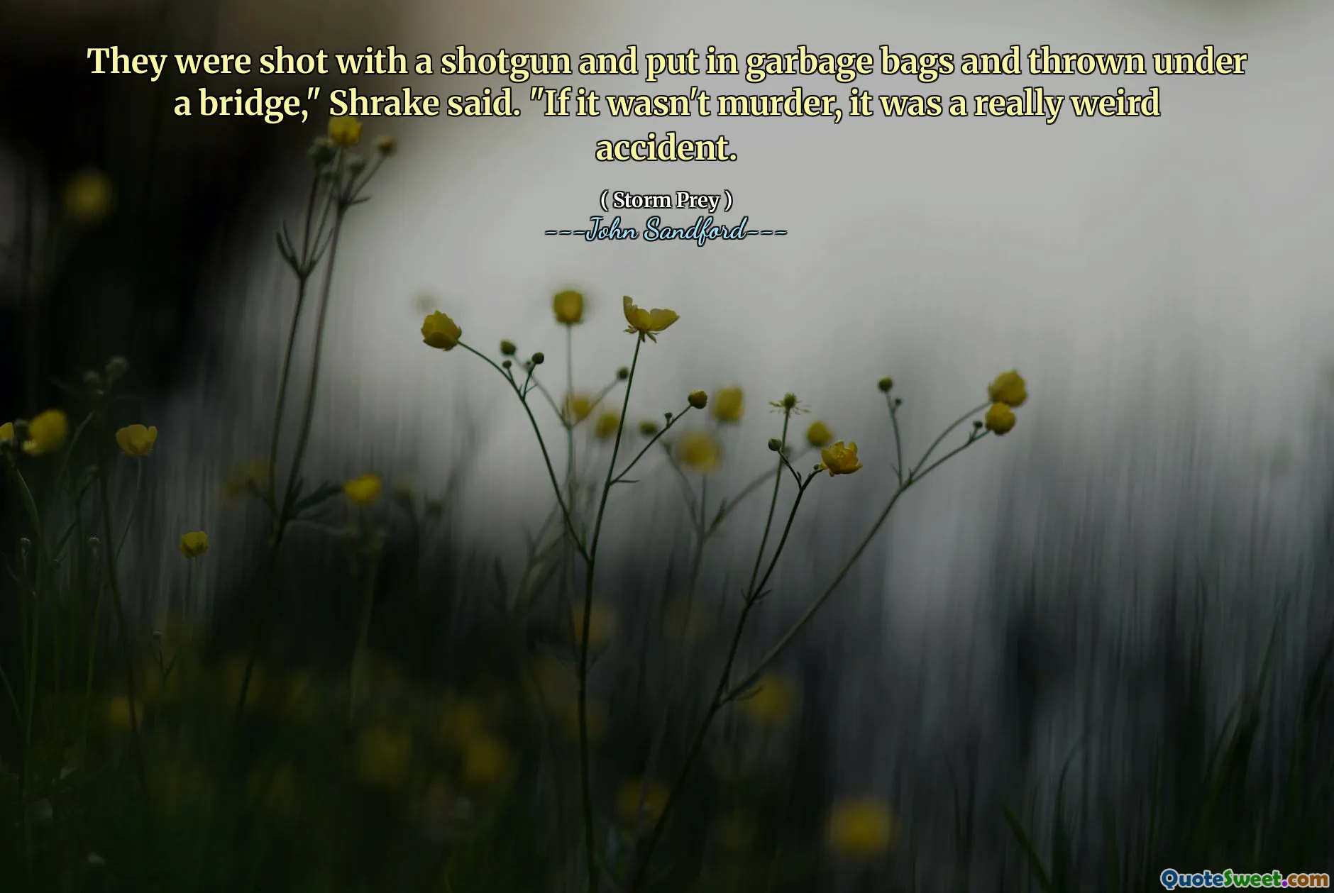 Eles foram baleados com uma espingarda, colocados em sacos de lixo e jogados debaixo de uma ponte”, disse Shrake. “Se não foi assassinato, foi um acidente muito estranho.