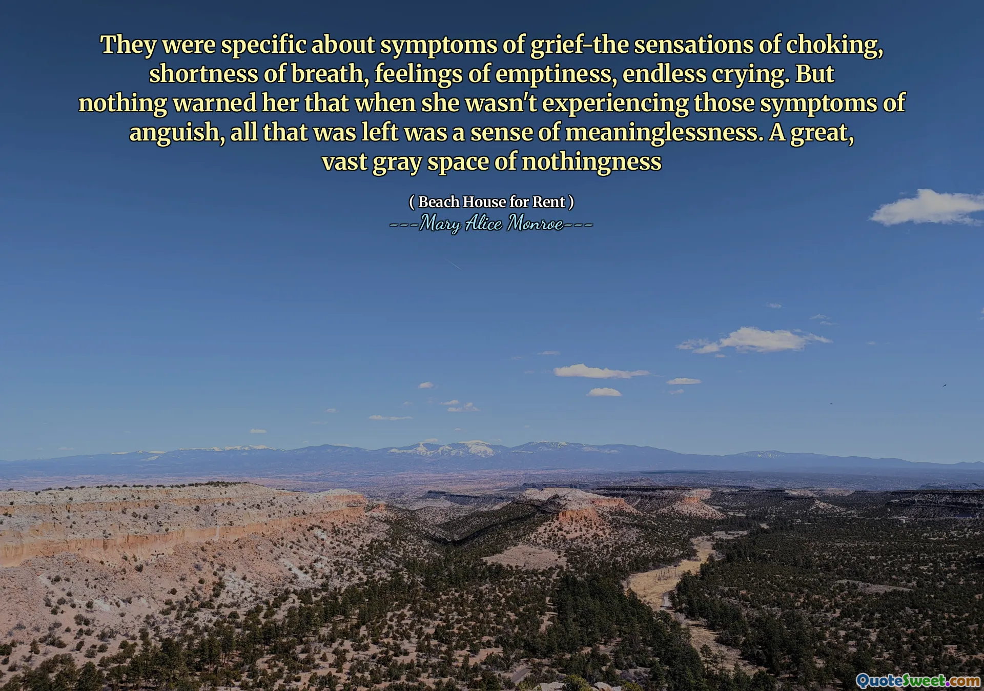 Byly specifické ohledně příznaků zármutku-pocity udušení, dušnosti, pocity prázdnoty, nekonečného pláče. Nic ji však varovalo, že když nezažila ty příznaky úzkosti, zbývalo jen pocit bezvýznamnosti. Skvělý, obrovský šedý prostor nicoty