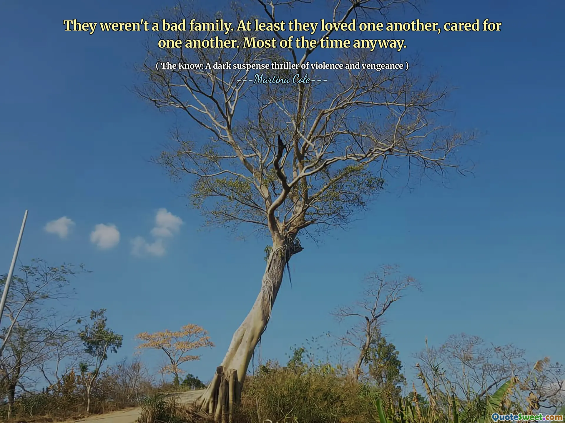 彼らは悪い家族ではありませんでした。少なくとも彼らはお互いを愛し、お互いを世話しました。とにかくほとんどの場合。