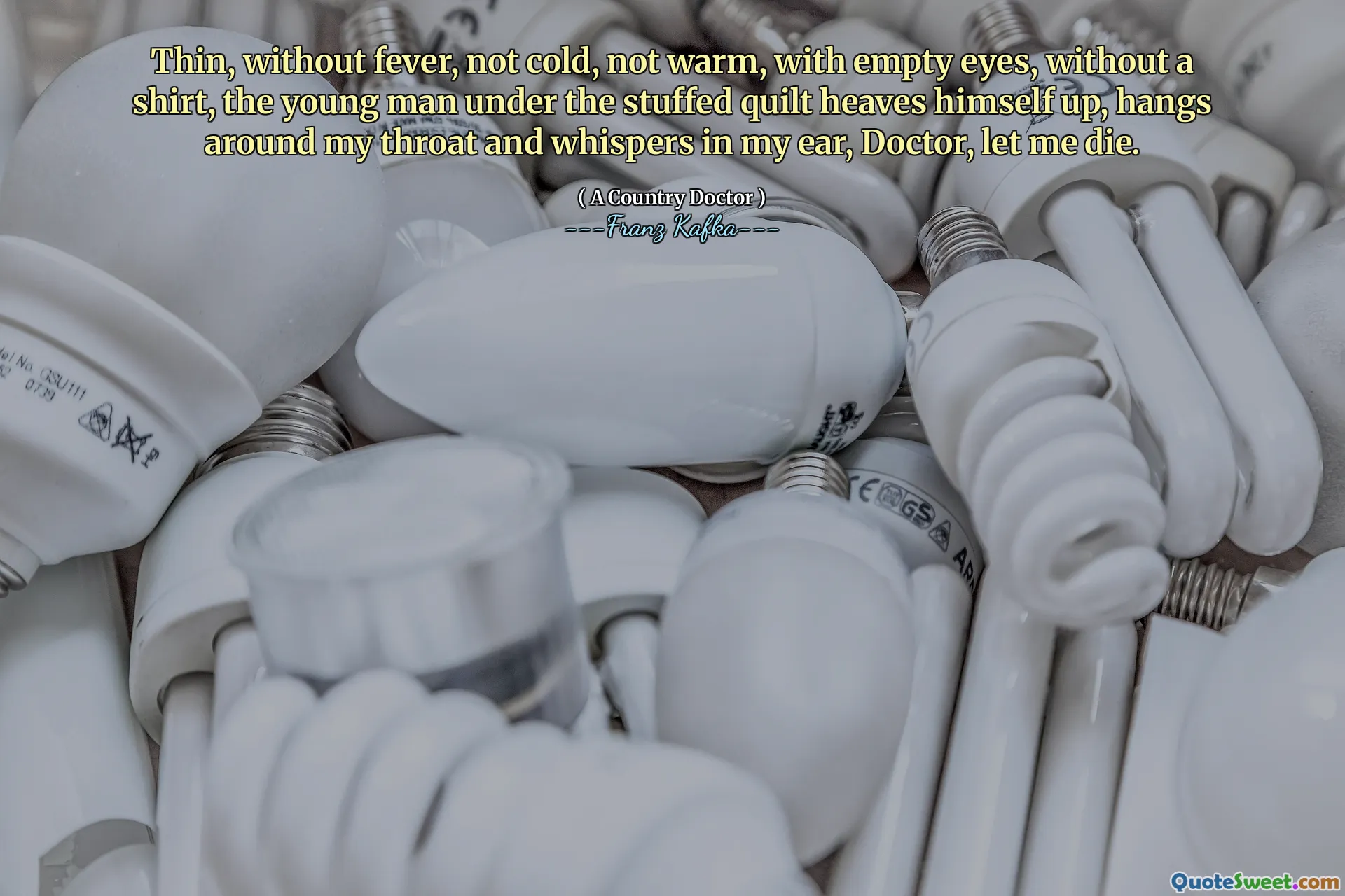 Thin, without fever, not cold, not warm, with empty eyes, without a shirt, the young man under the stuffed quilt heaves himself up, hangs around my throat and whispers in my ear, Doctor, let me die.