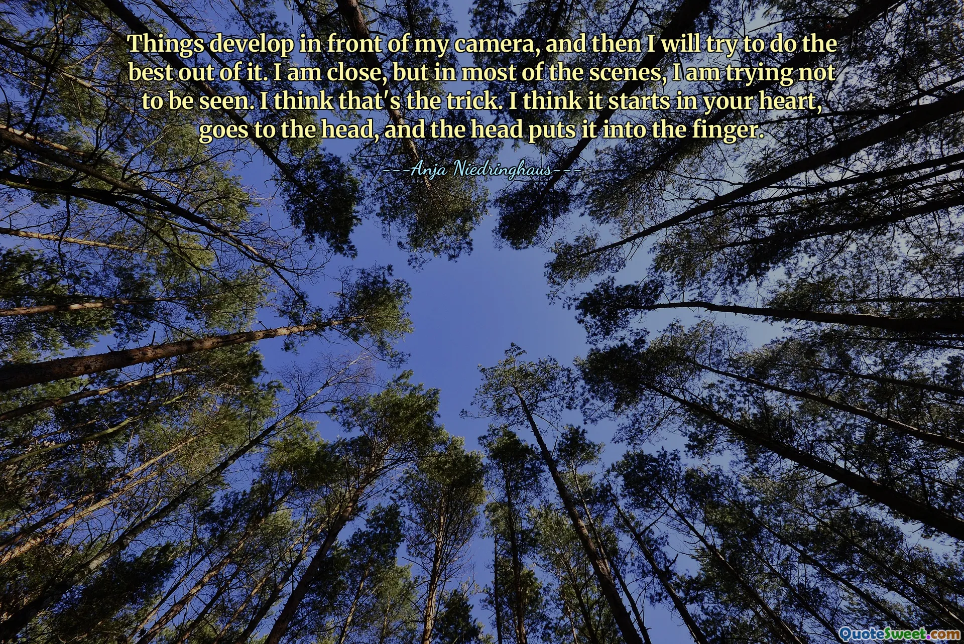 Olaylar kameramın önünde gelişiyor ve sonrasında elimden gelenin en iyisini yapmaya çalışacağım. Yakındayım ama çoğu sahnede görünmemeye çalışıyorum. Bence işin püf noktası bu. Sanırım kalbinden başlıyor, kafaya gidiyor ve kafa onu parmağa koyuyor.