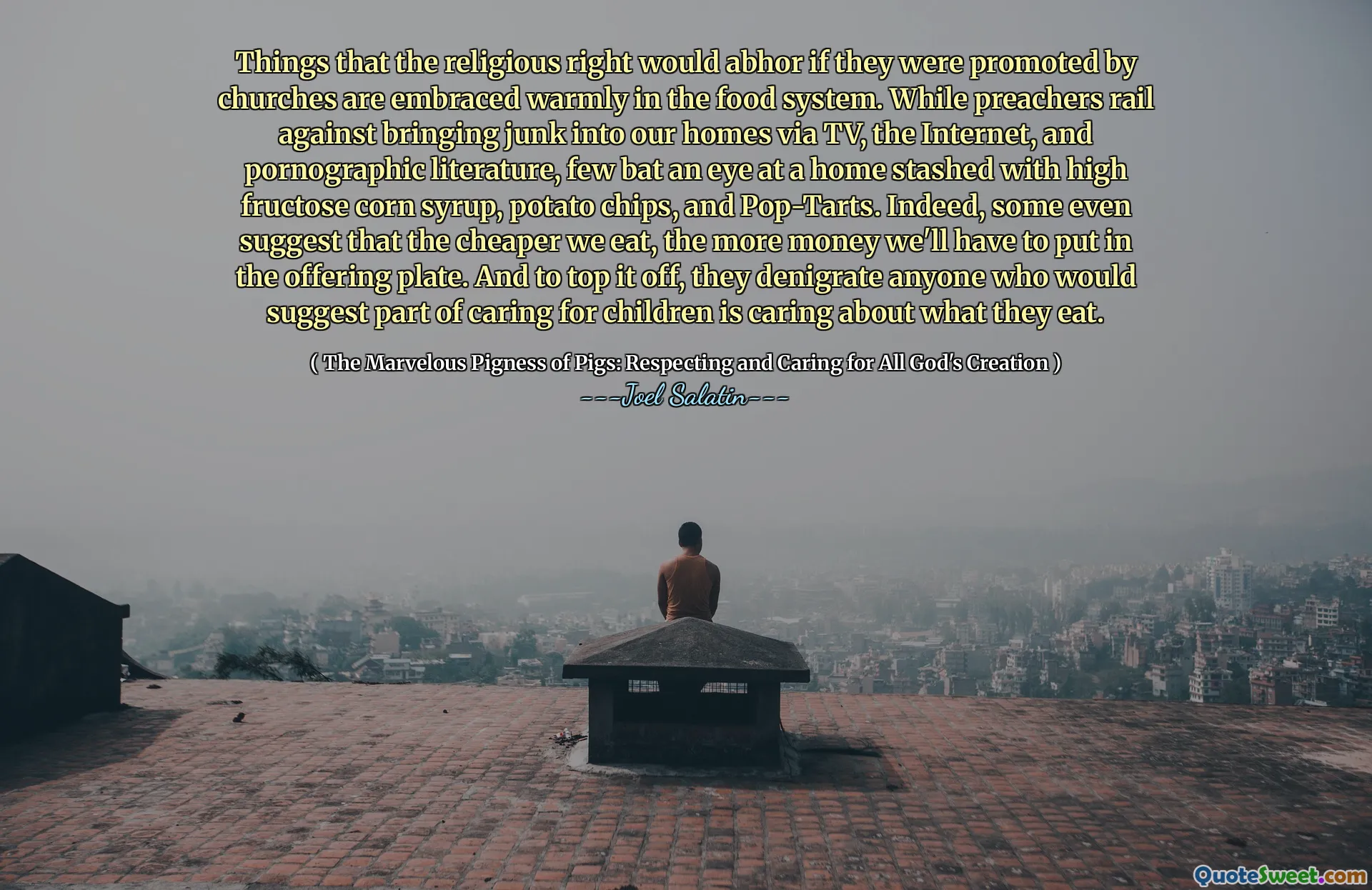 Things that the religious right would abhor if they were promoted by churches are embraced warmly in the food system. While preachers rail against bringing junk into our homes via TV, the Internet, and pornographic literature, few bat an eye at a home stashed with high fructose corn syrup, potato chips, and Pop-Tarts. Indeed, some even suggest that the cheaper we eat, the more money we'll have to put in the offering plate. And to top it off, they denigrate anyone who would suggest part of caring for children is caring about what they eat.