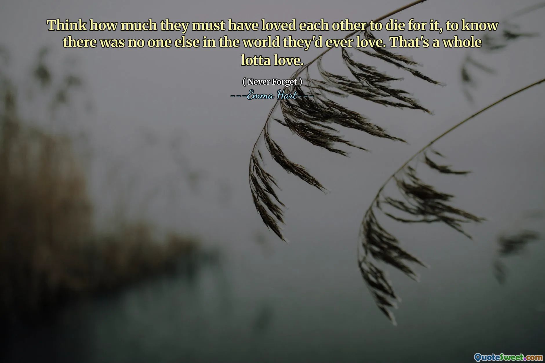 იფიქრეთ, რამდენად უნდა უყვარდათ ერთმანეთი, რომ მოკვდნენ ამისათვის, იცოდეთ, რომ მსოფლიოში არავინ იყო, მათ ოდესმე უყვართ. ეს არის მთელი ლოტას სიყვარული.