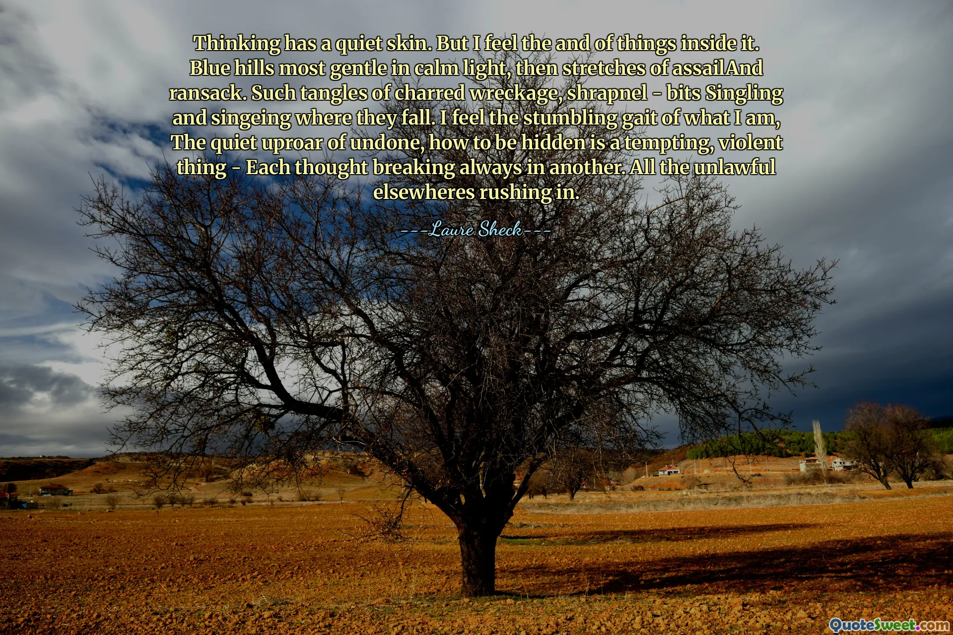 Thinking has a quiet skin. But I feel the and of things inside it. Blue hills most gentle in calm light, then stretches of assailAnd ransack. Such tangles of charred wreckage, shrapnel - bits Singling and singeing where they fall. I feel the stumbling gait of what I am, The quiet uproar of undone, how to be hidden is a tempting, violent thing - Each thought breaking always in another. All the unlawful elsewheres rushing in.